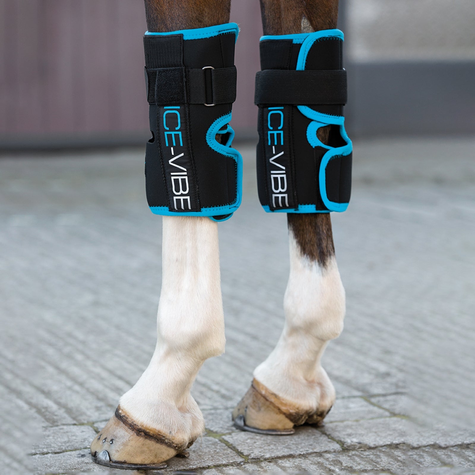 Horseware Ice-Vibe Gamaschen Vorderfußwurzelgelenk Pflege