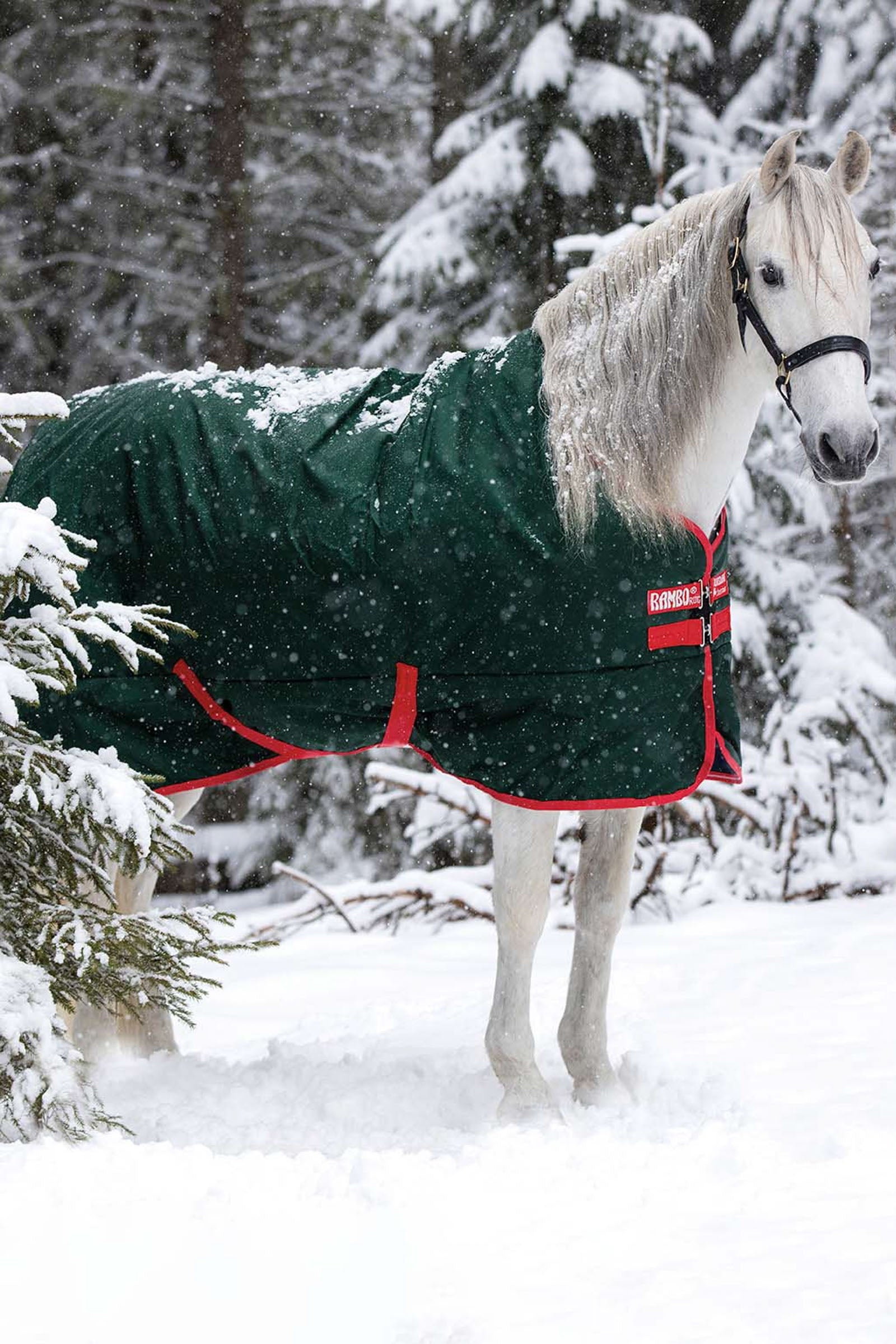 Horseware Rambo Original Turnout, 400g Horse Rugs