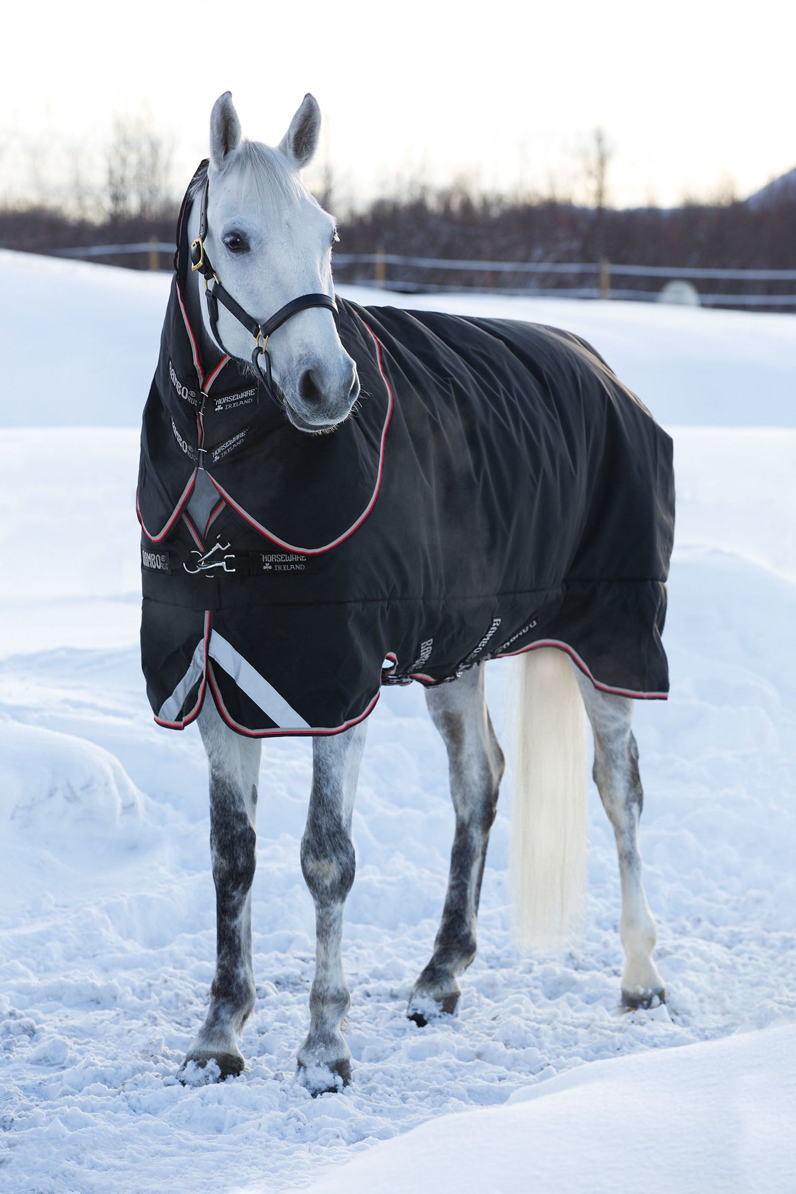 Horseware Rambo Supreme Weidedecke inkl. abnehmbarem Halsteil, 420g Pferdedecken