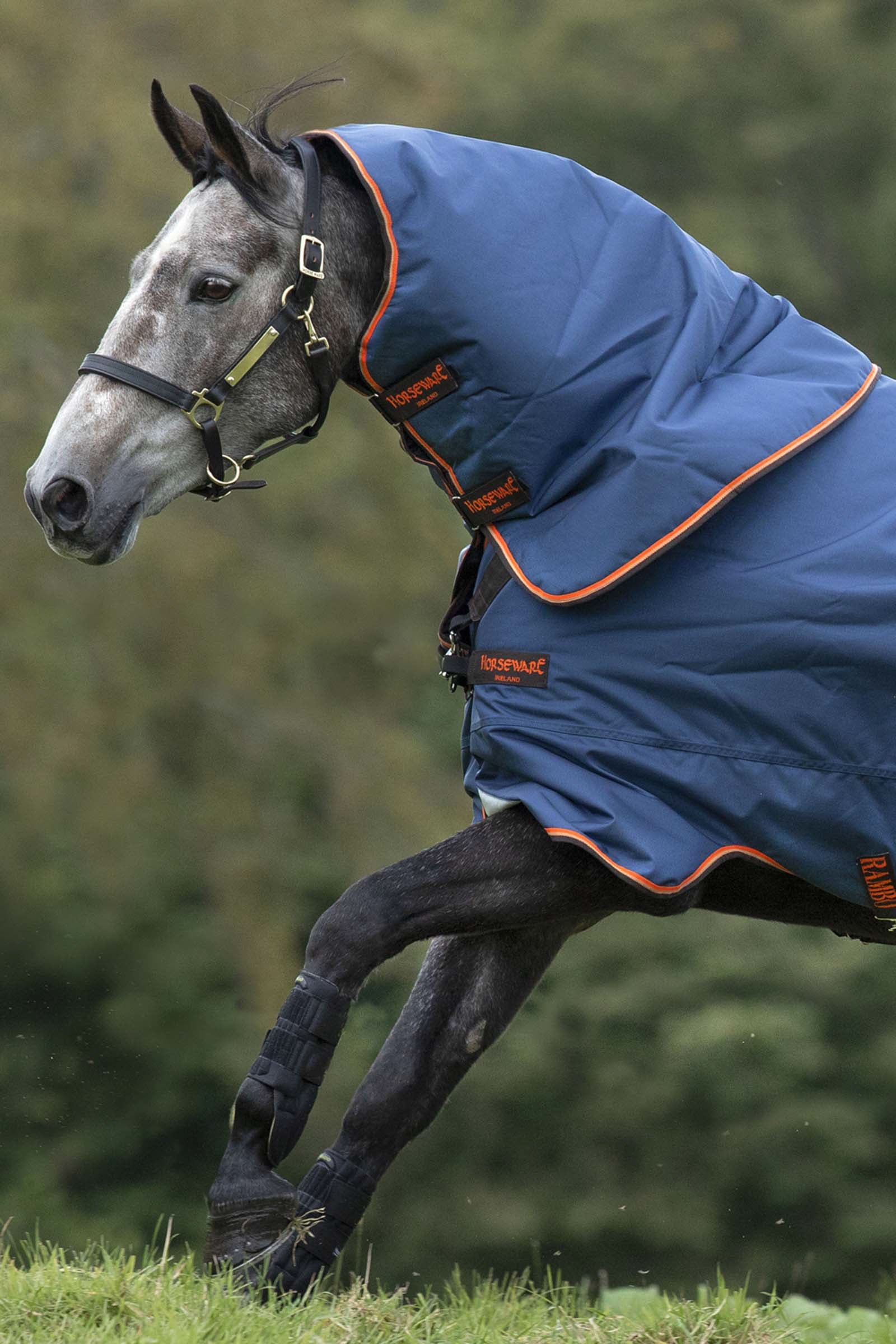 Horseware Rambo Duo Hood, 50g Horse Rugs