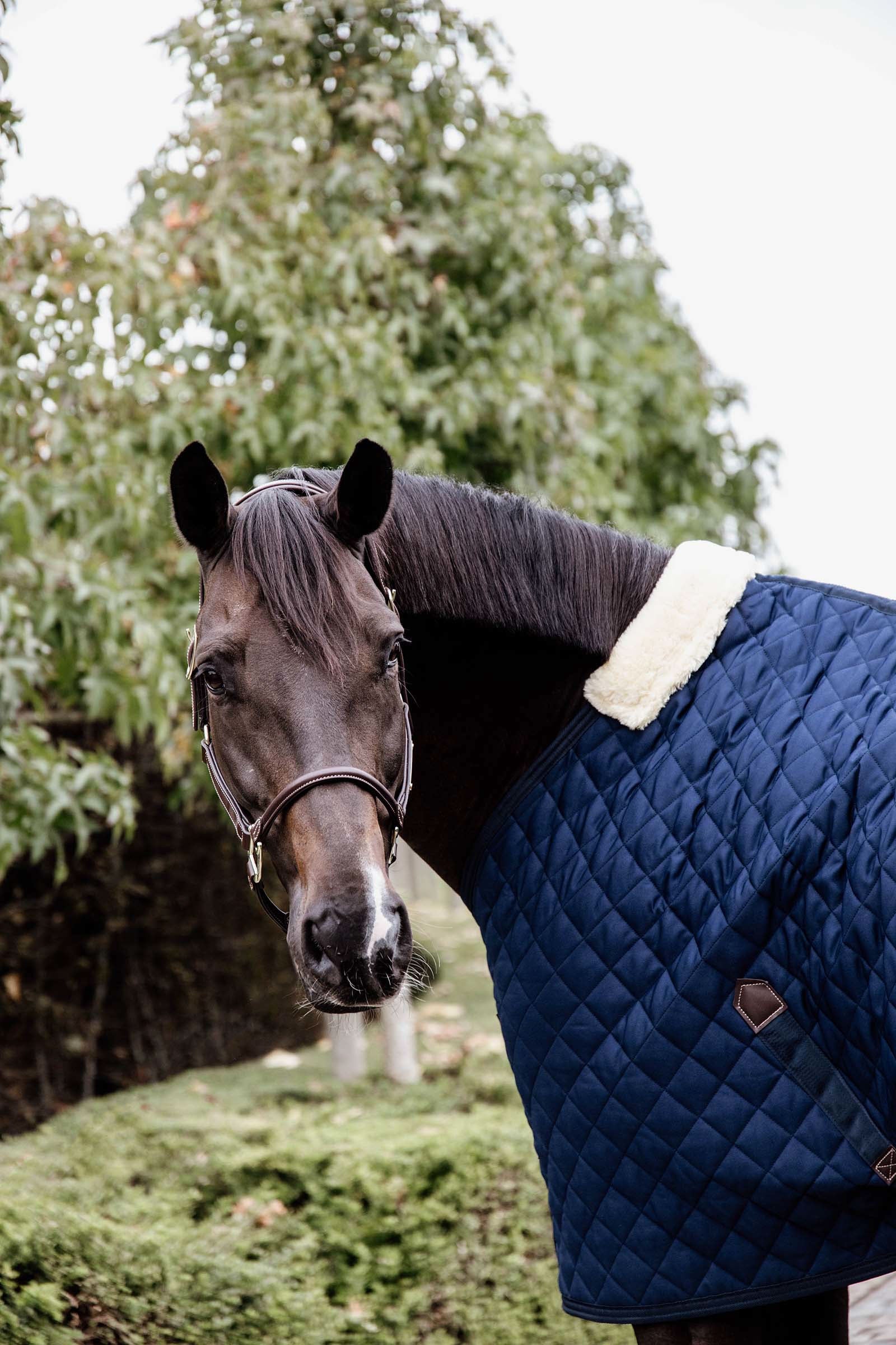 Kentucky Horsewear Stable Rug, 200g Horse Rugs