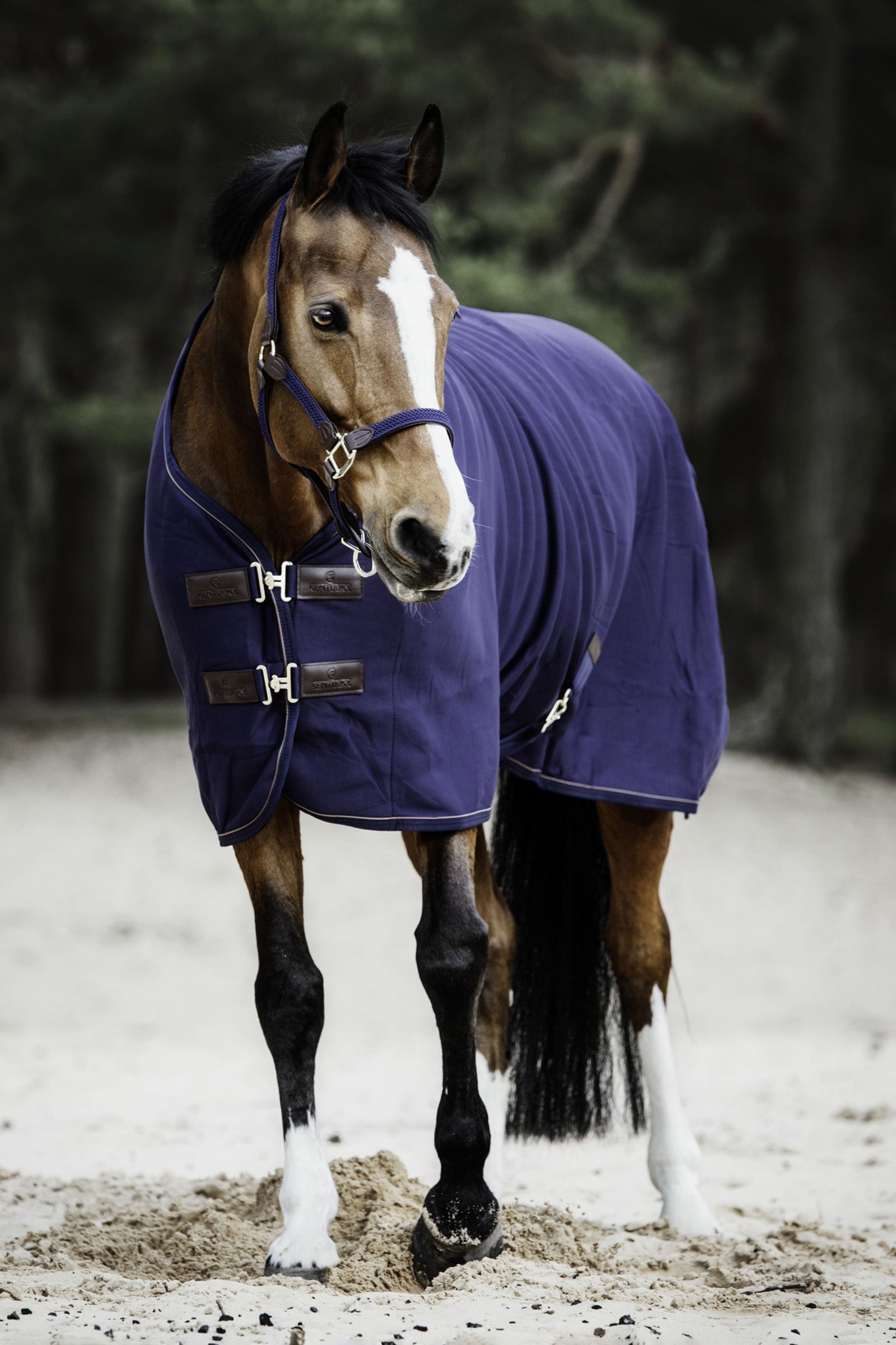 Kentucky Horsewear Tiny Fleece Abschwitzdecke Pferdedecken