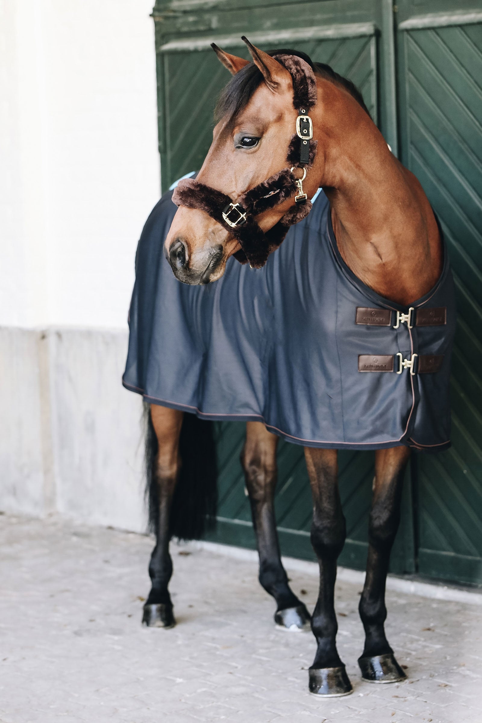 Kentucky Horsewear Tiny Recuptex Magnetic Rug Horse Rugs