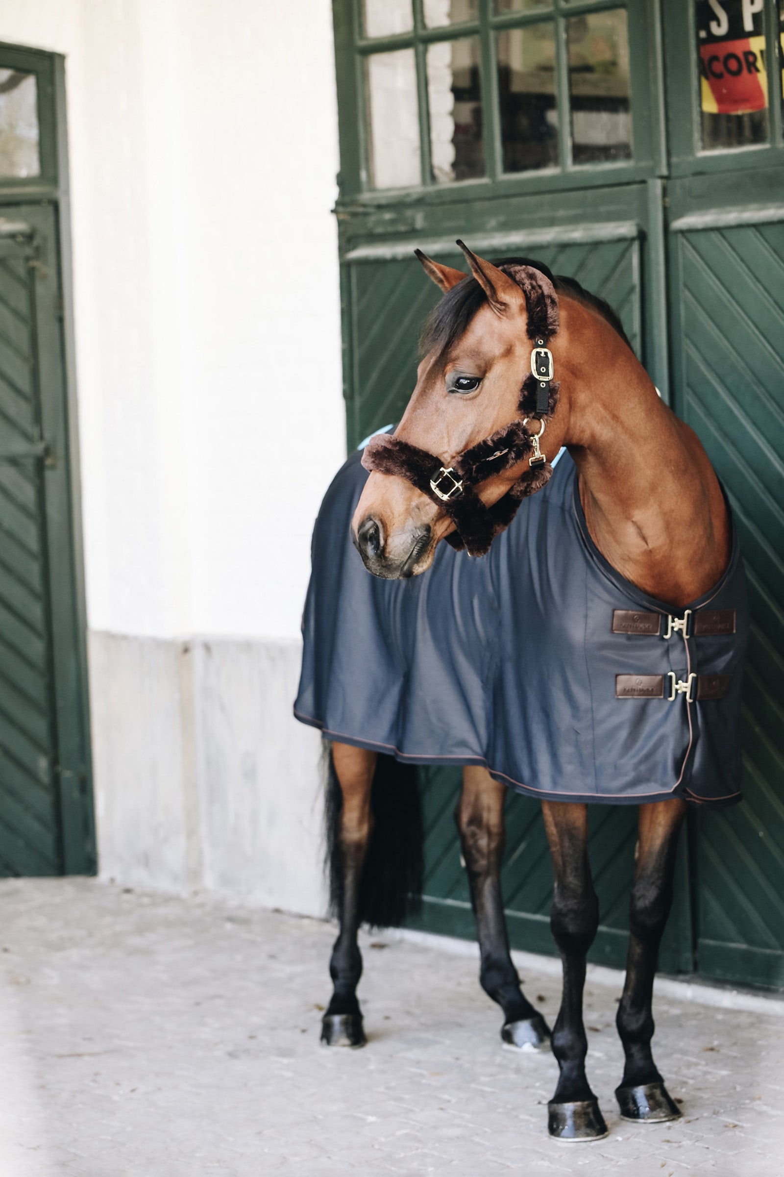 Kentucky Horsewear Tiny Recuptex Magnetic Rug Horse Rugs