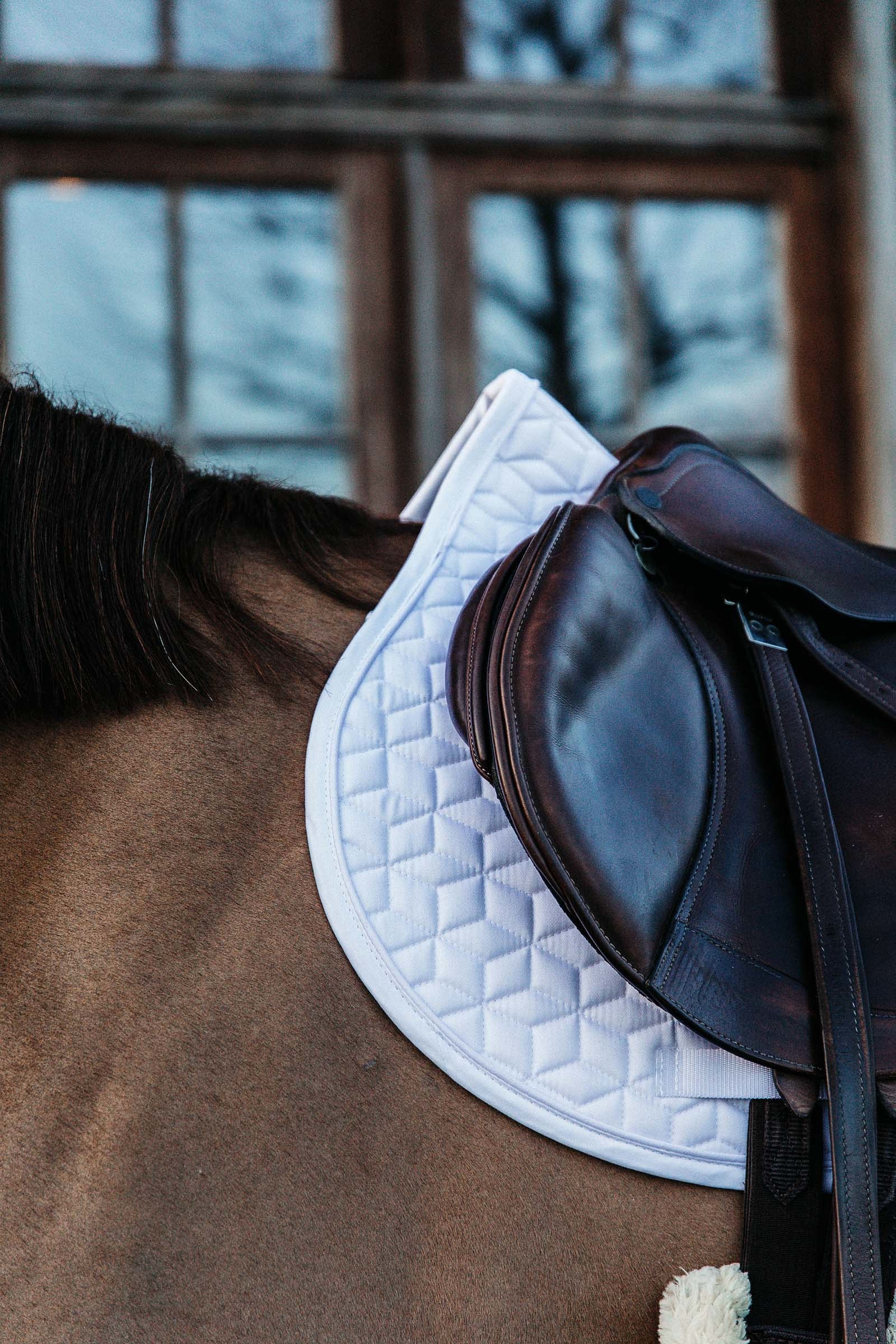 Kentucky Horsewear Basic Jumping Saddle Pad Saddle Pads