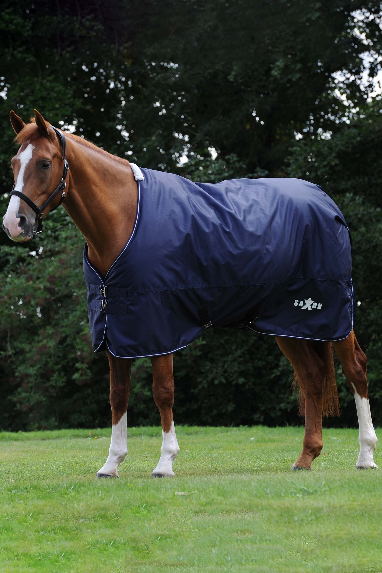 Saxon Defiant 600D Turnout Rug, 0g Horse Rugs