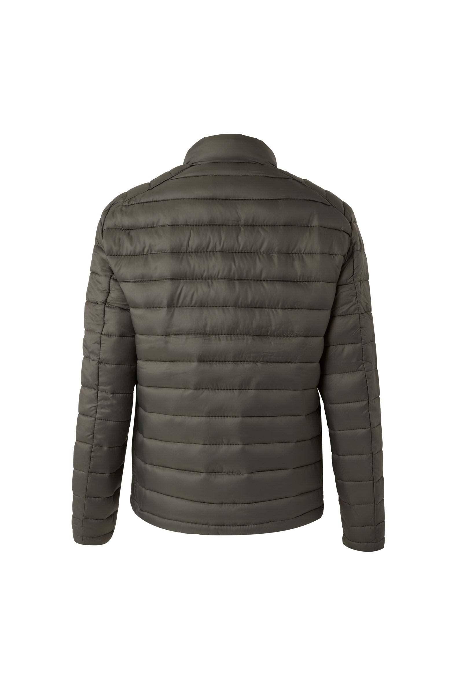 Horze Men's Light Padded Riding Jacket Mens Riding Clothing