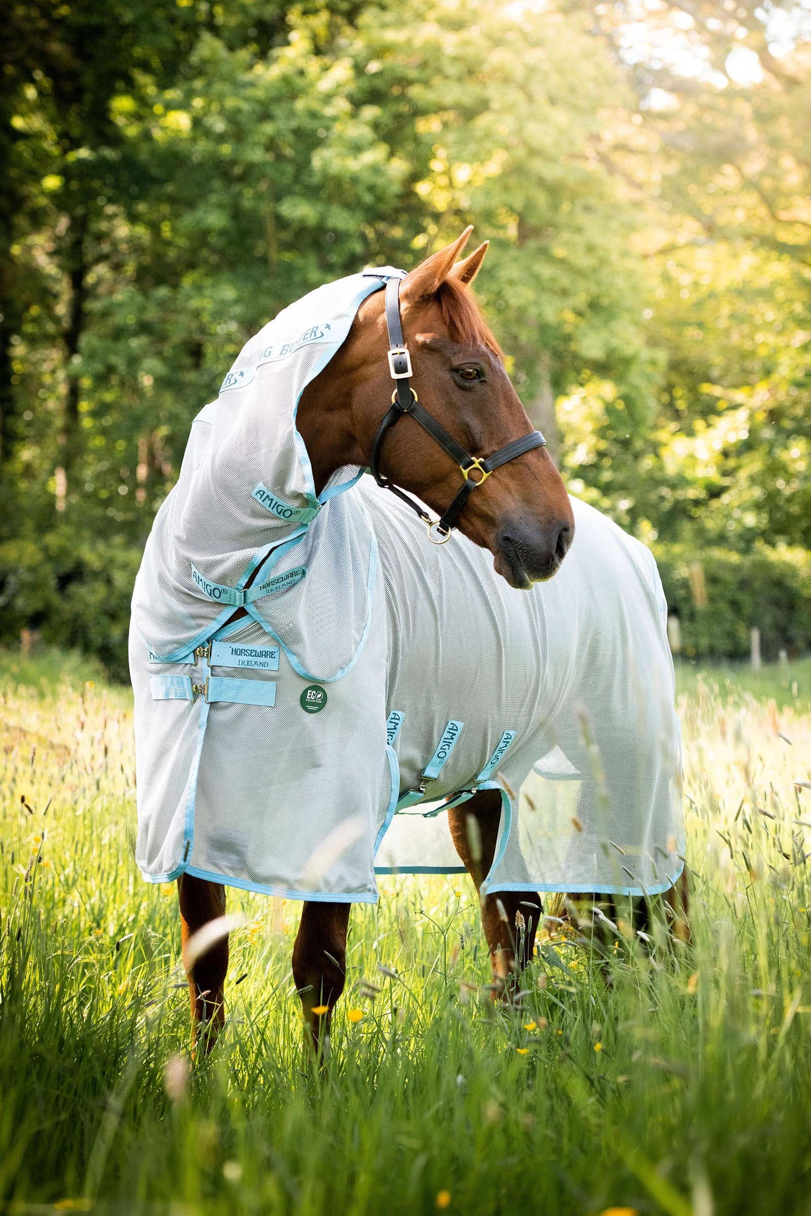 Horseware Amigo AmEco Bug Buster Fly Rug With Detachable Neck Horse Rugs