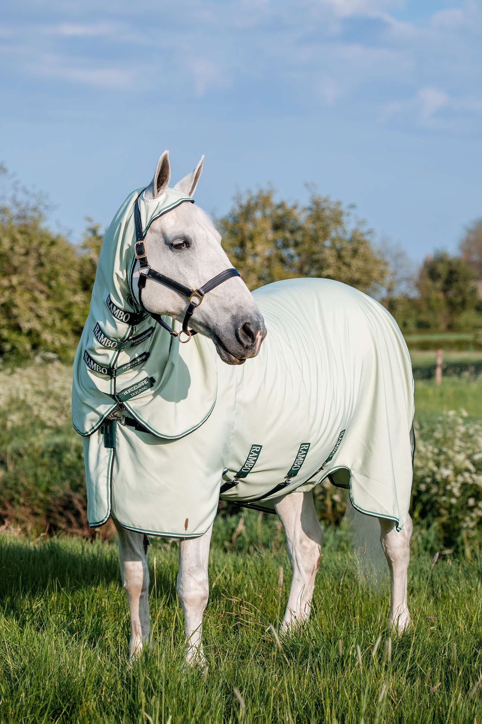Horseware Rambo Hoody Fliegendecke Pferdedecken