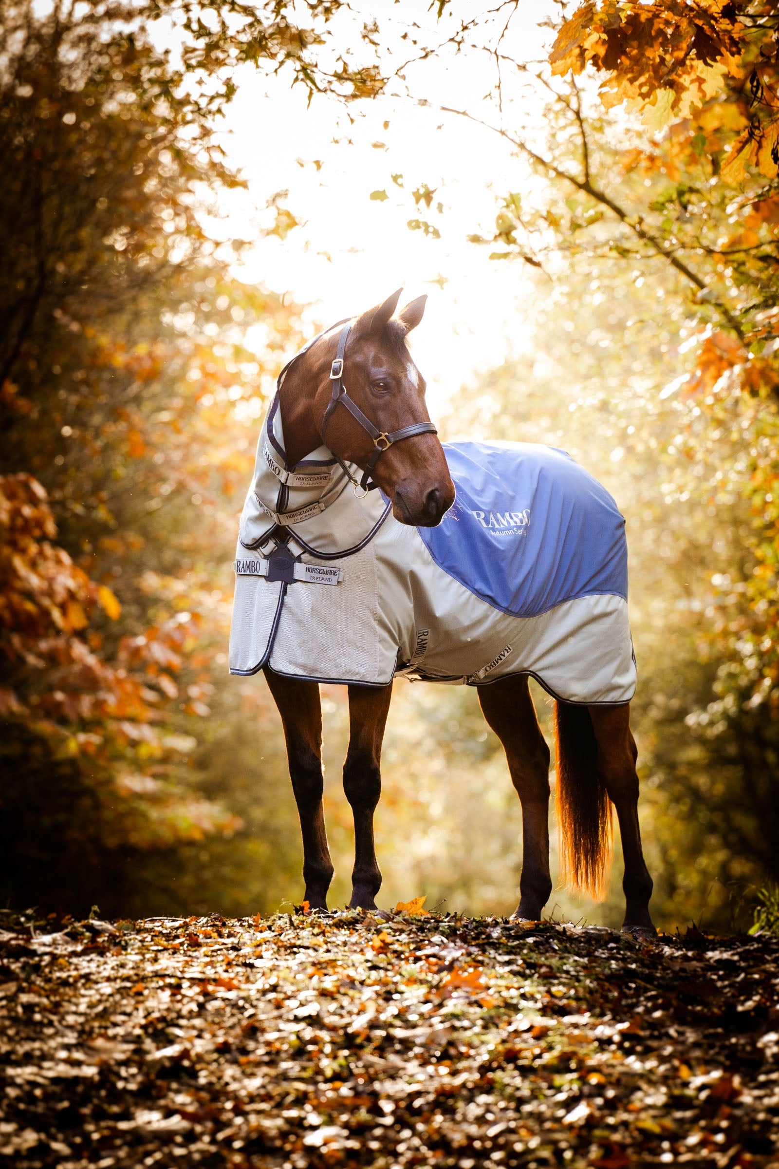 Horseware Rambo Autumn Series Weidedecke mit Unterdecke (0 g / 100 g) Pferdedecken