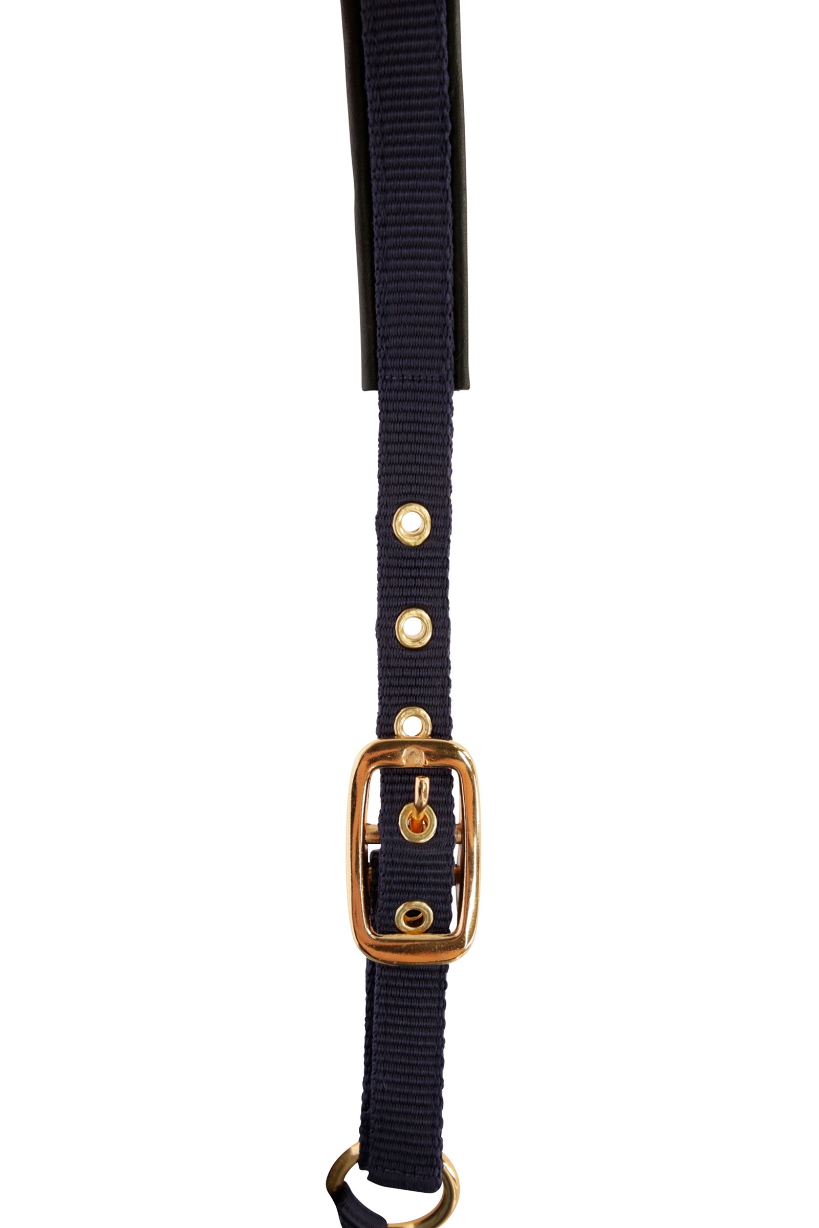 Covalliero TopLine Foal Halter Halters & Leads