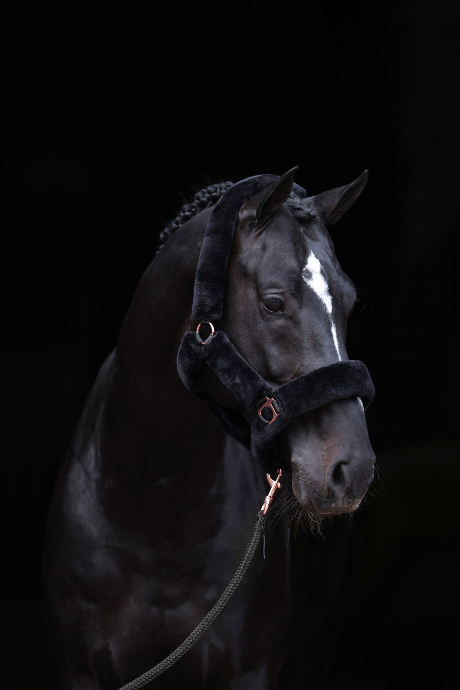 Covalliero SuperSoft Halfter Halfter & Stricke