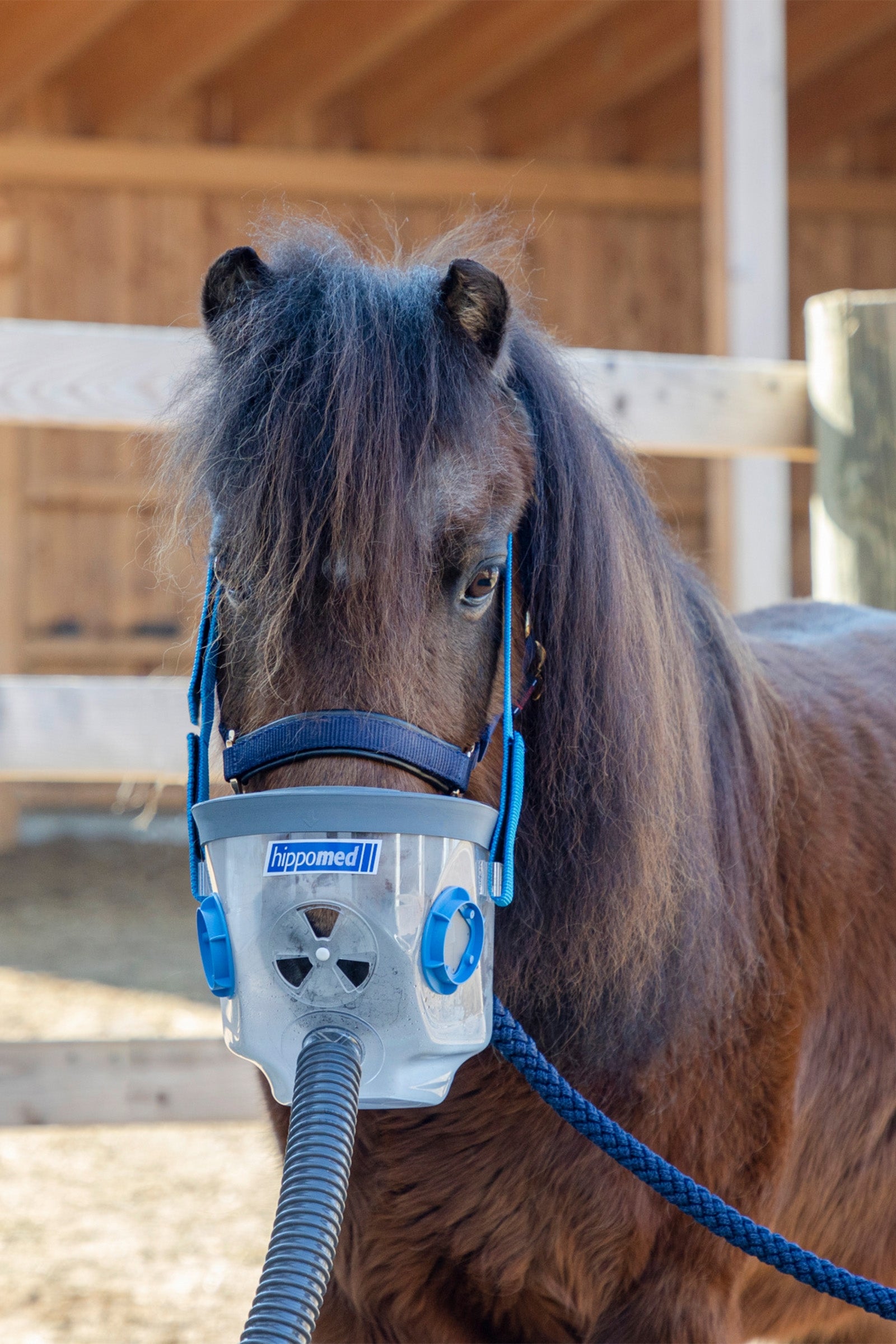 Hippomed Inhalation Mask incl. Accessories for AirOne, Shetland/Foal Horse Feed & Nutrition