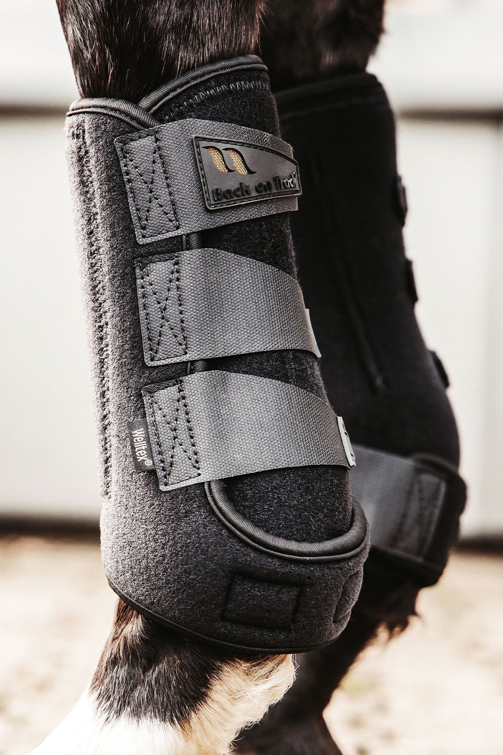 Back on Track Airflow Exercise Boots Leg Protection & Hoof Protection for Horses