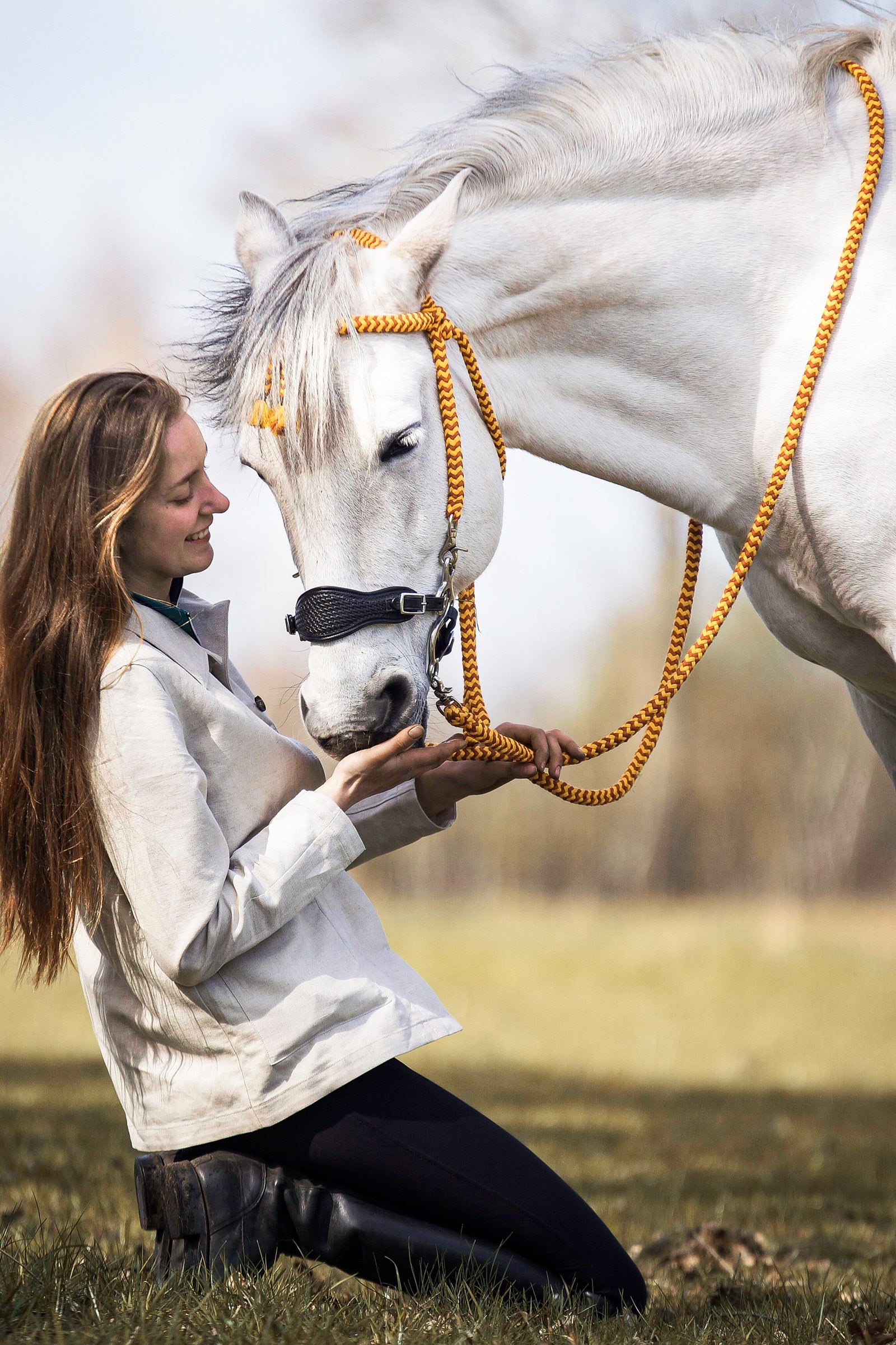 F.R.A. Freedom Riding Articles Fiore Hackamore (System 2) Gebisse