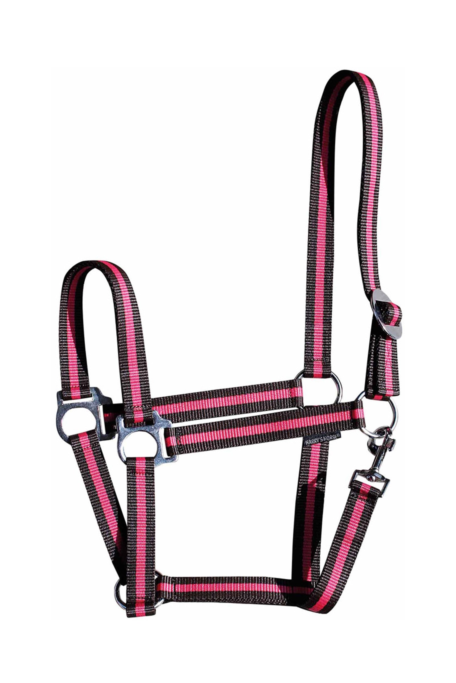 Harry's Horse Economy Halfter Halfter & Stricke