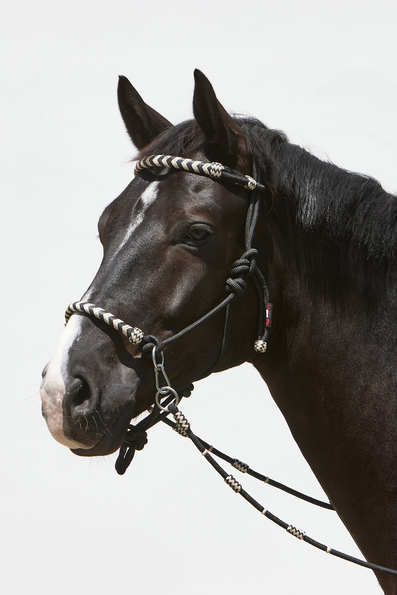 Kieffer Enya Knotenhalfter Halfter & Stricke