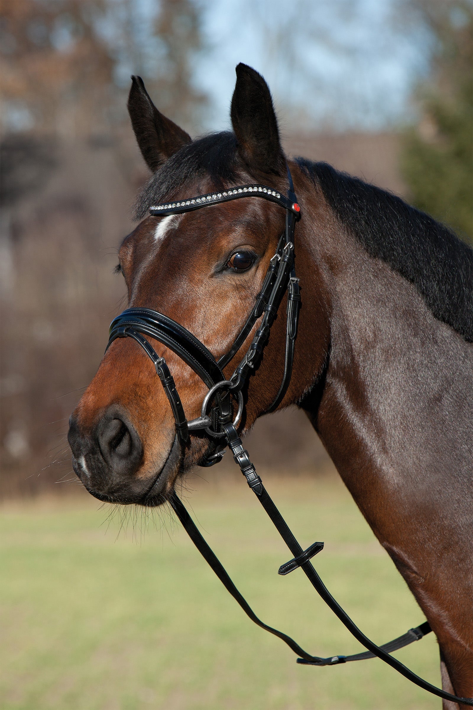 Kieffer Comfort Paris Bridle Bridles & Reins