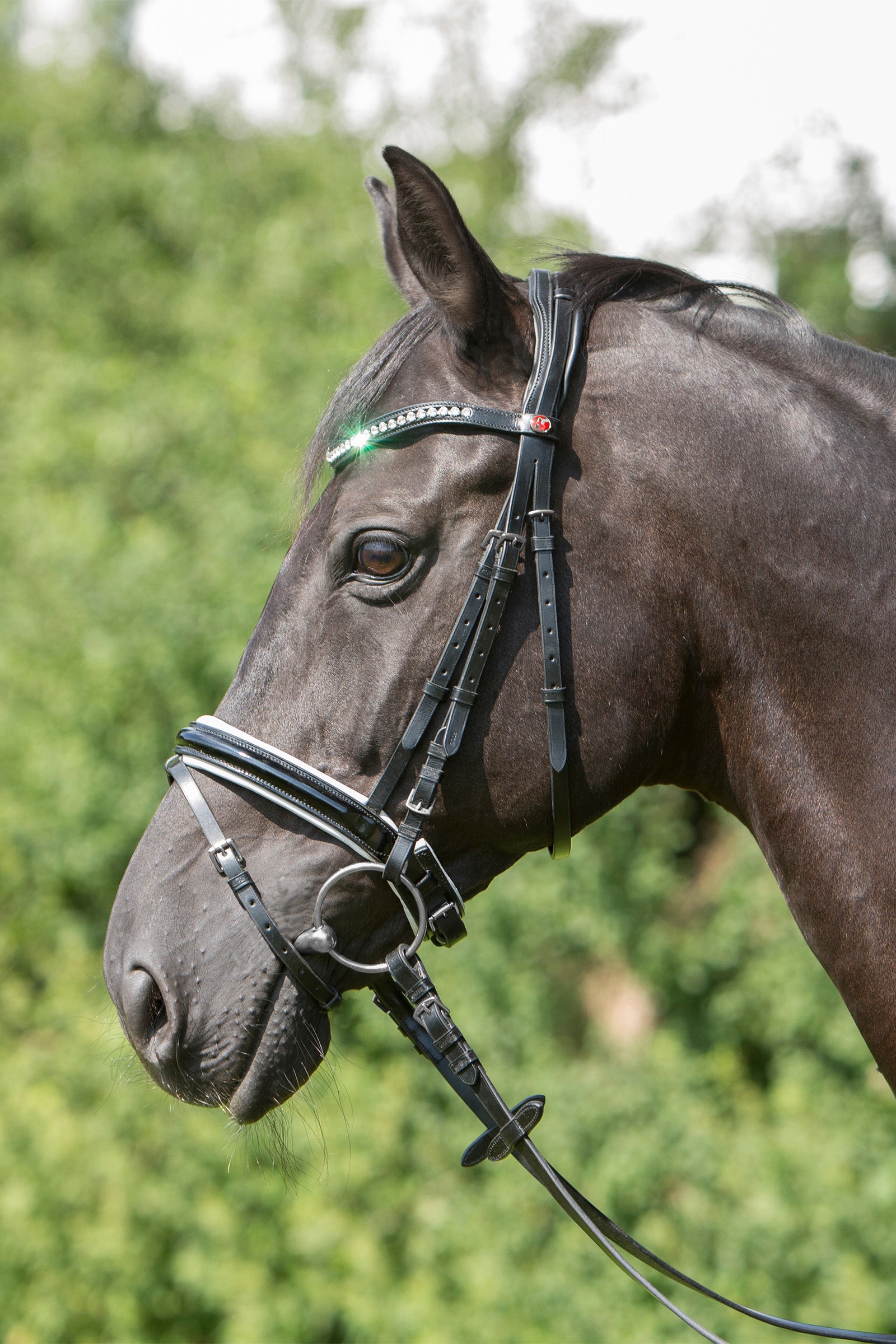 Kieffer Comfort Paris Bridle Bridles & Reins