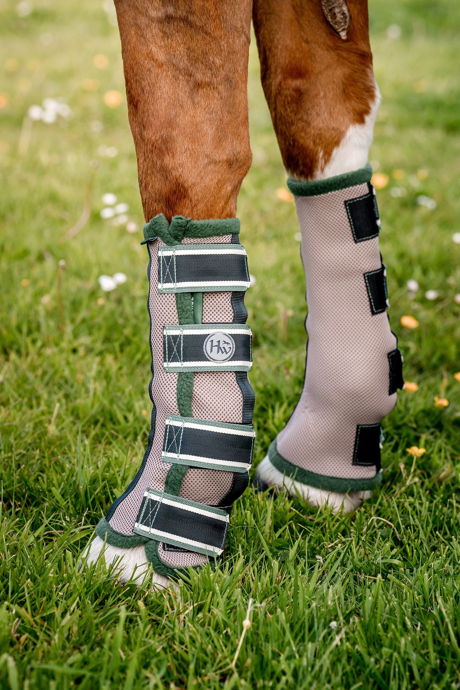 Horseware Fliegen-Gamaschen Fliegenschutz