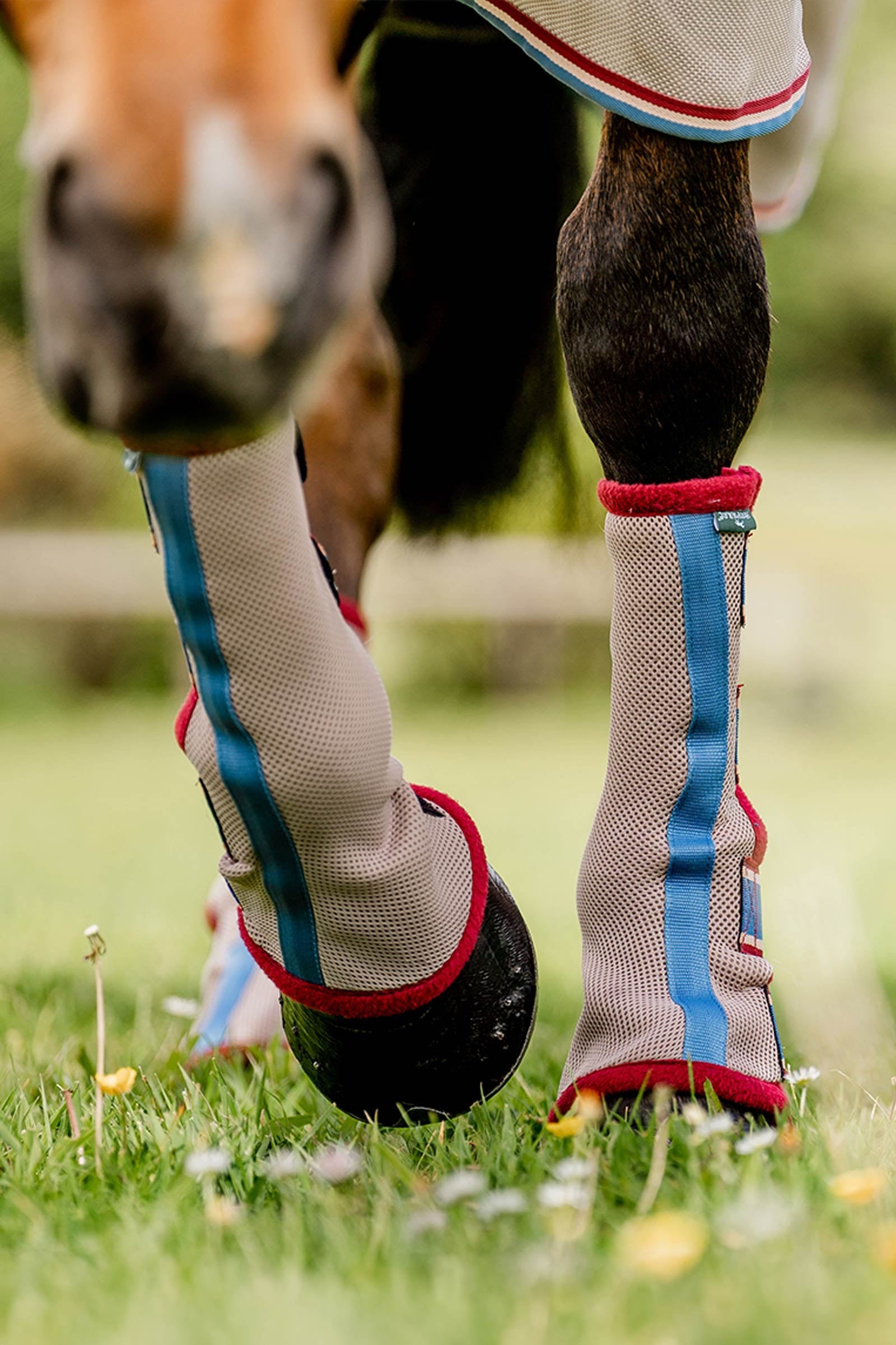 Horseware Fly Boots Antifly Protection for Horses