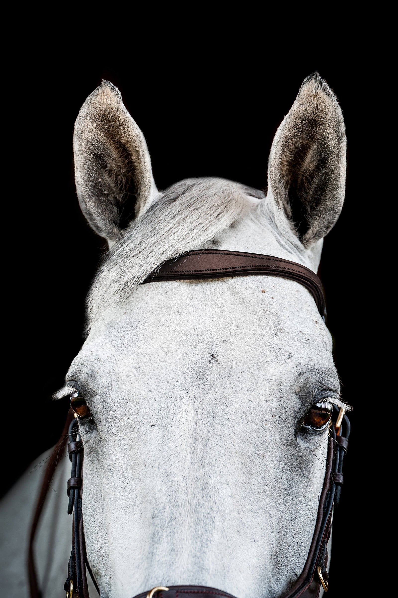 Horseware Micklem 2 Multi Bridle Bridles & Reins