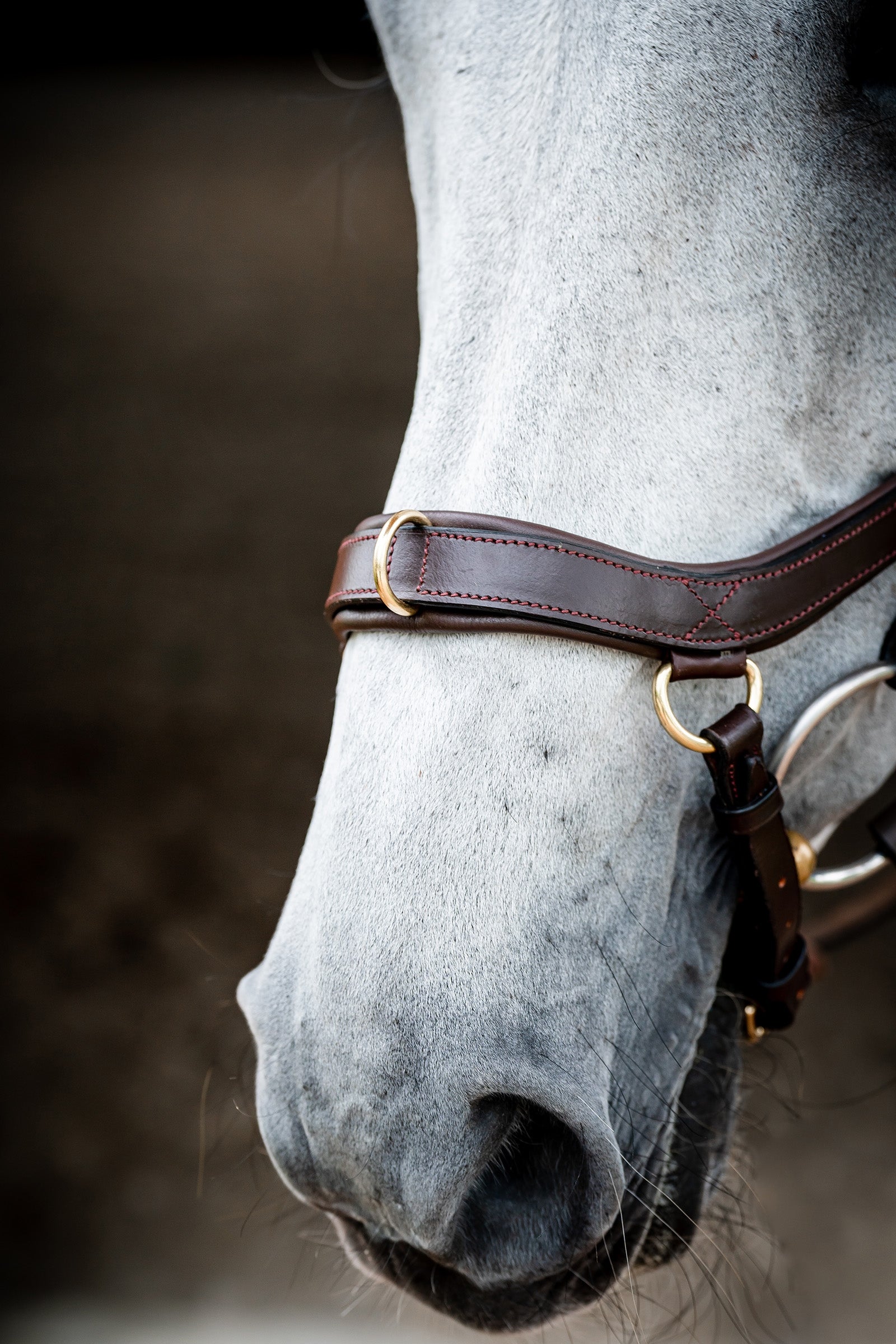 Horseware Micklem 2 Multi Bridle Bridles & Reins