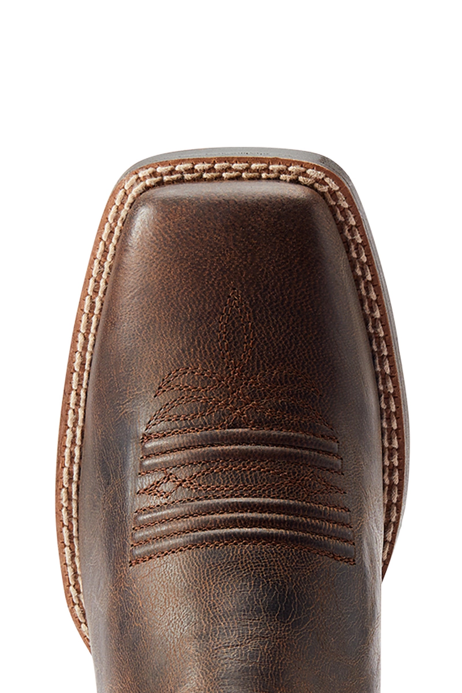 Ariat Round Up Back Zip Women's Western Boot Riding Boots & Riding Shoes