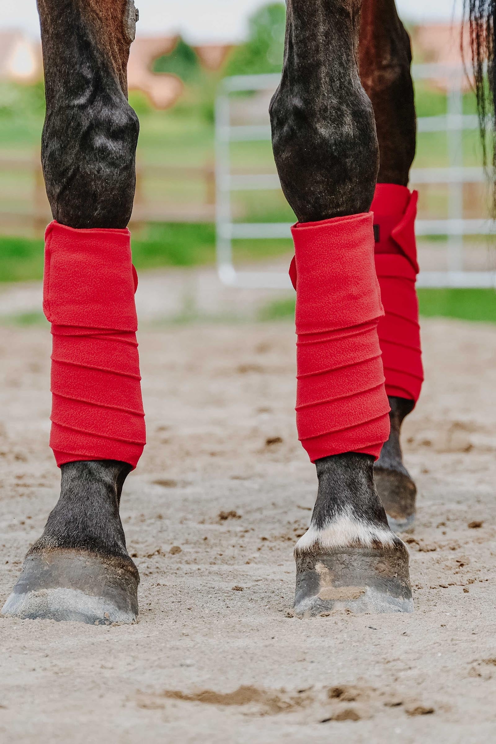 Equi Theme EQUITHÈME Polo Bands (3,0 m) Leg & Hoof Protection