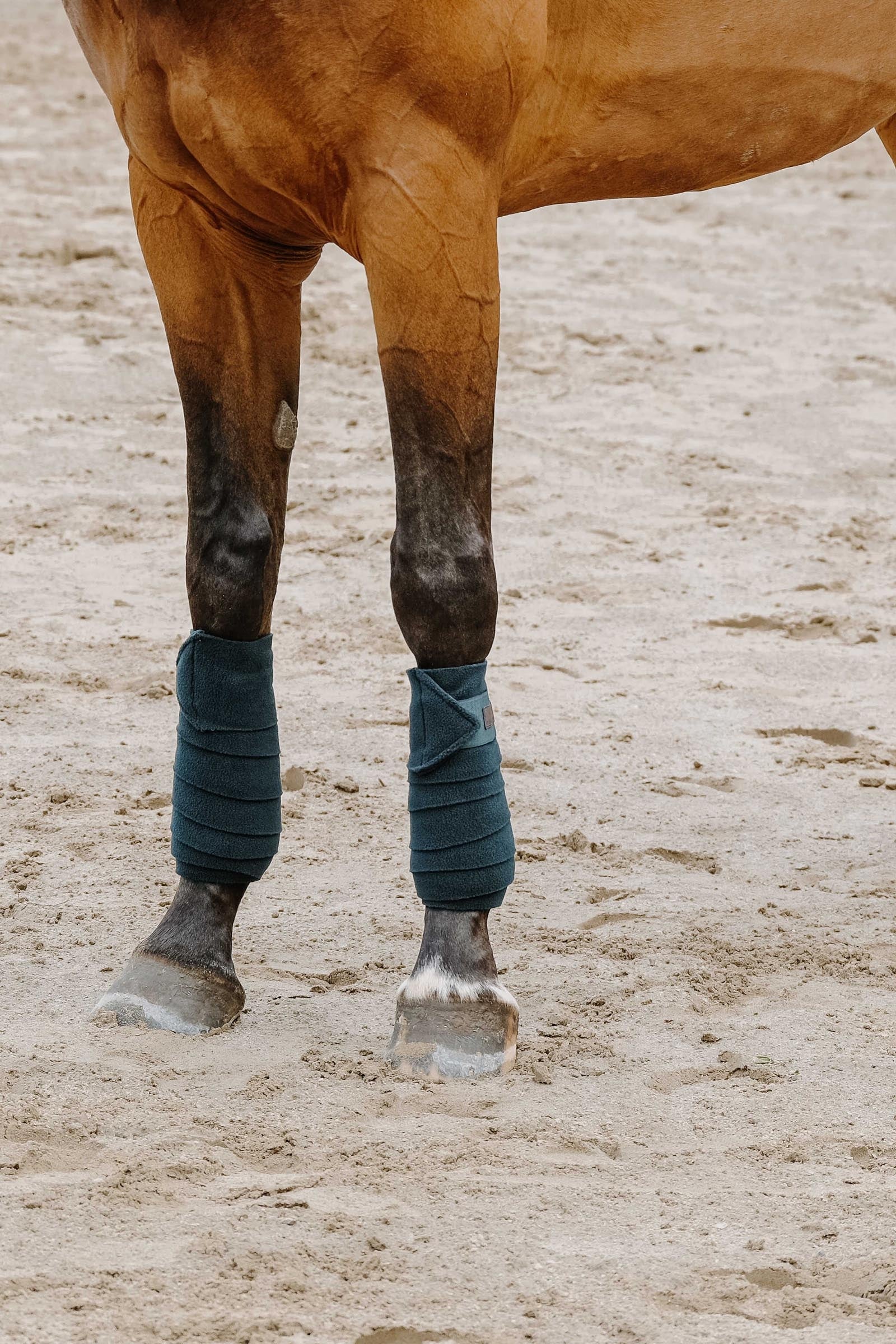 Equi Theme EQUITHÈME Polo Bands (3,0 m) Leg & Hoof Protection