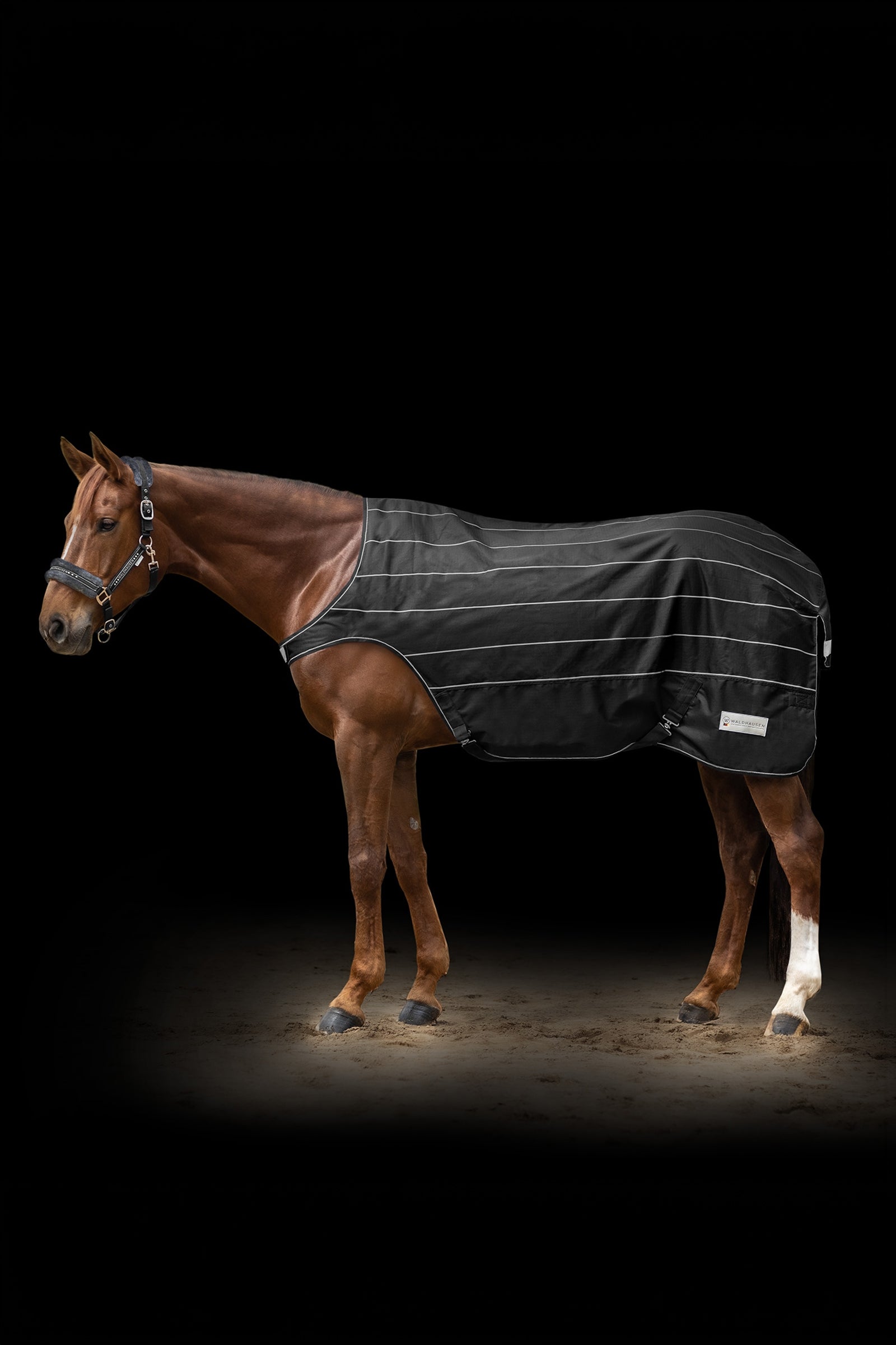Waldhausen REFLEX Walker Rug Reflective