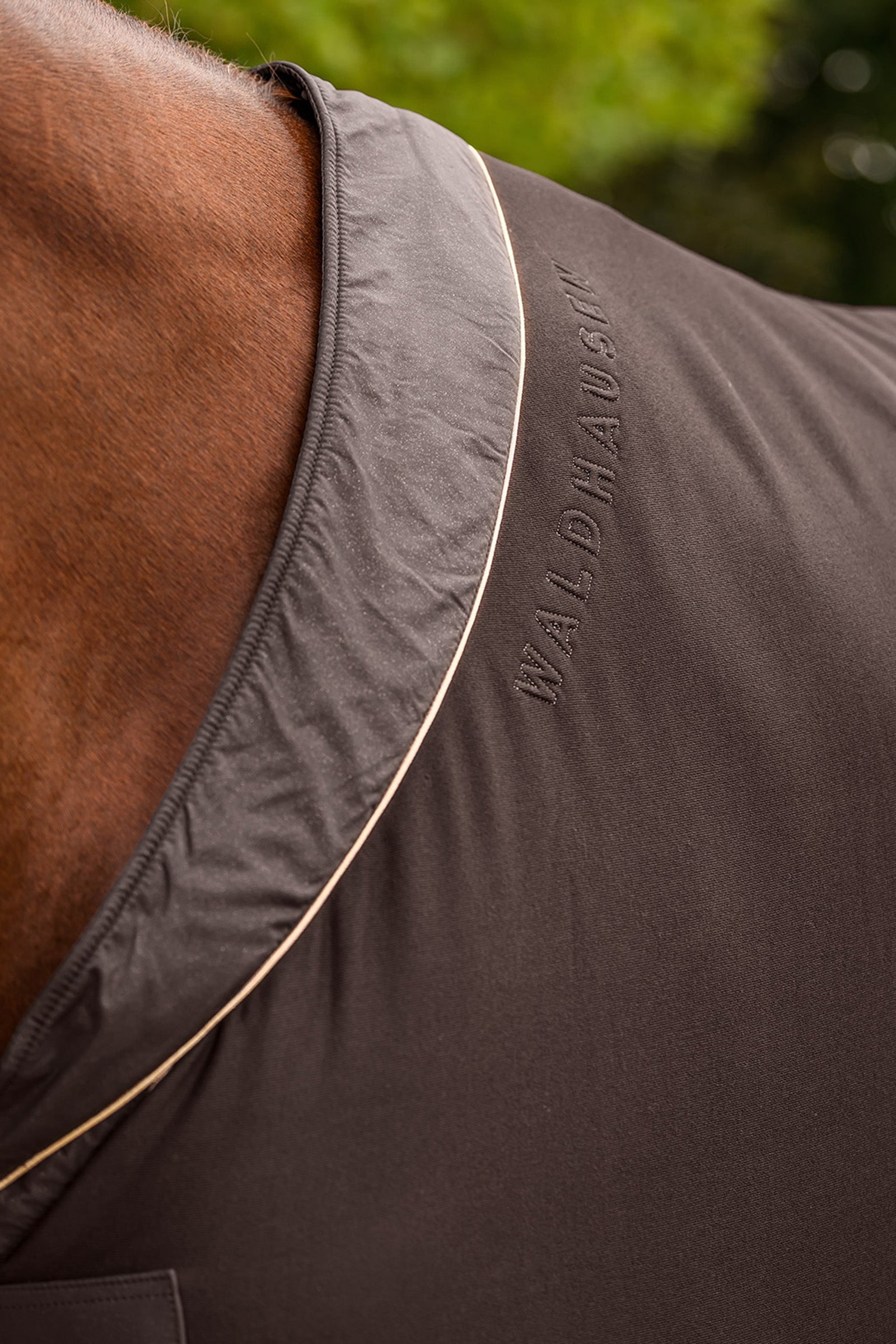 Waldhausen Phoenix Jersey Rug Horse Rugs