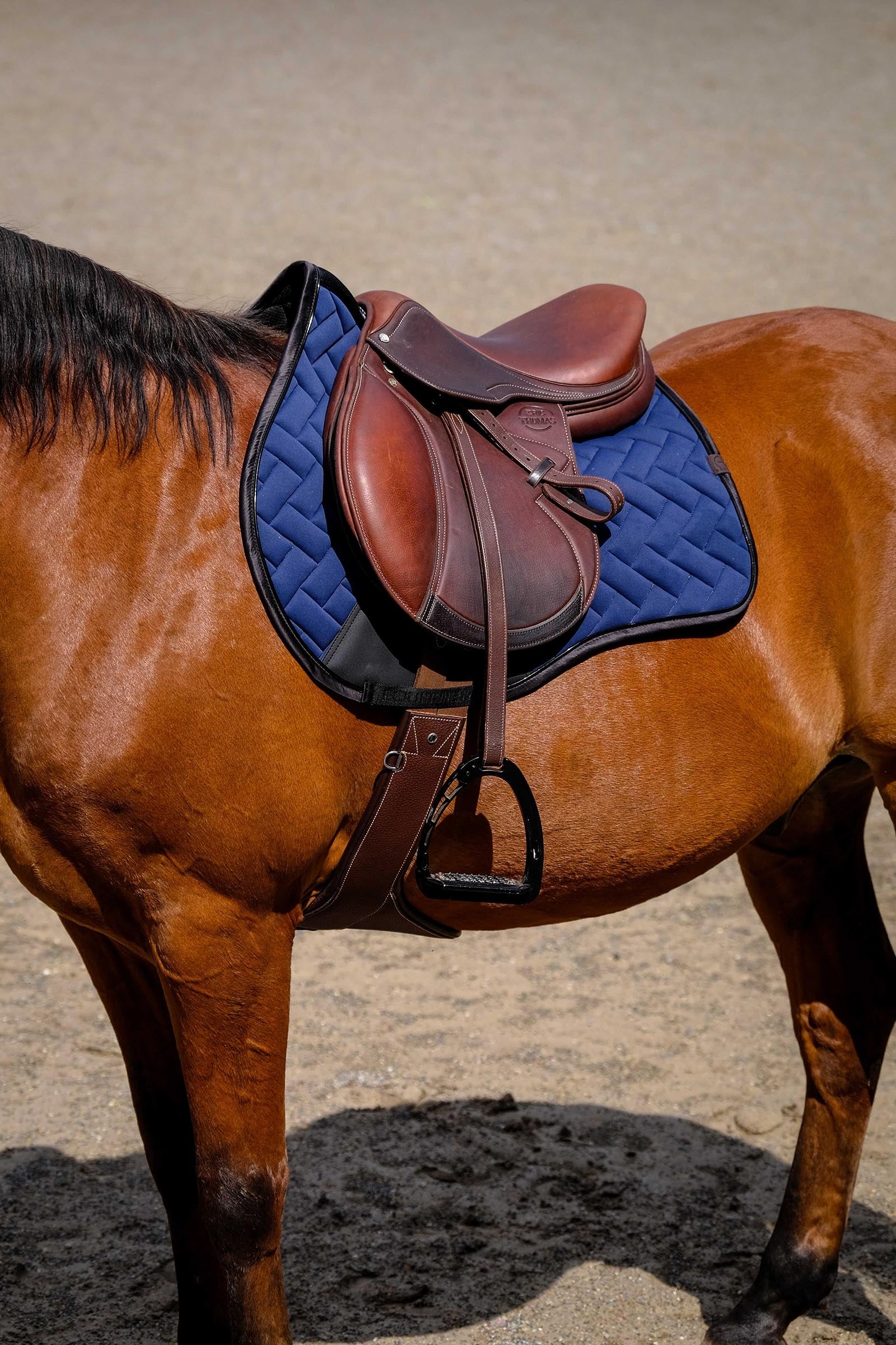Equi Theme EQUITHÈME Impulsion Saddle Pad Saddle Pads