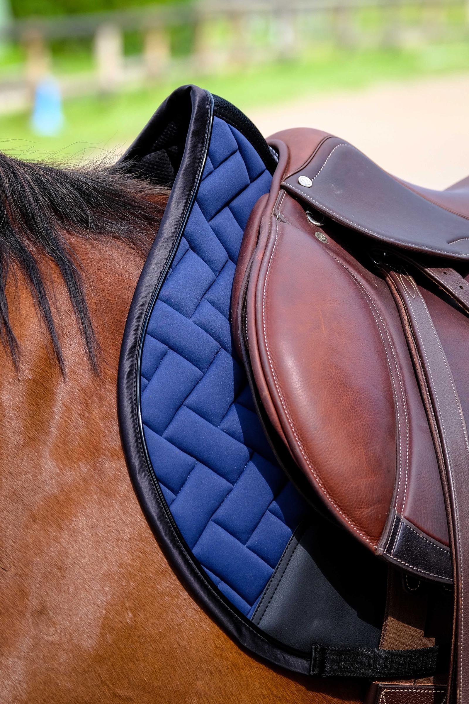 Equi Theme EQUITHÈME Impulsion Saddle Pad Saddle Pads