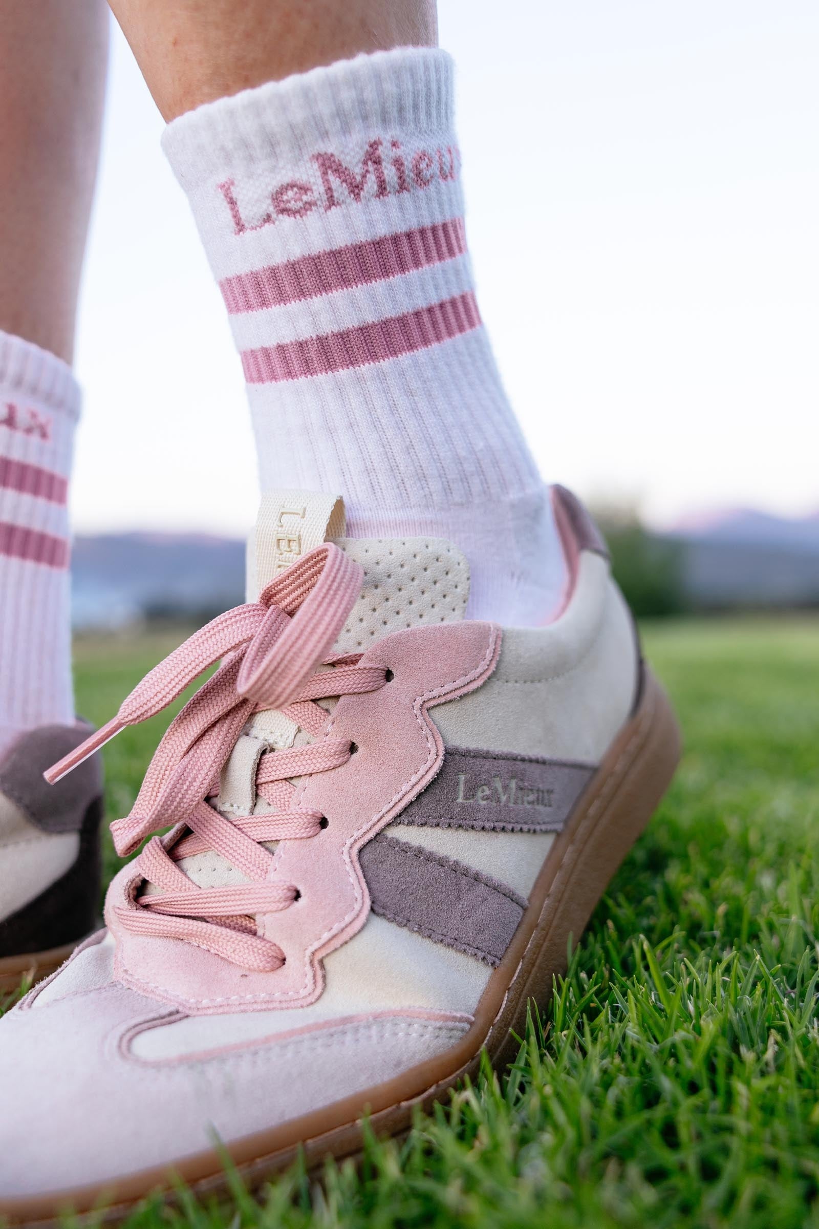 LeMieux Crew Socks 2 Pack Socks