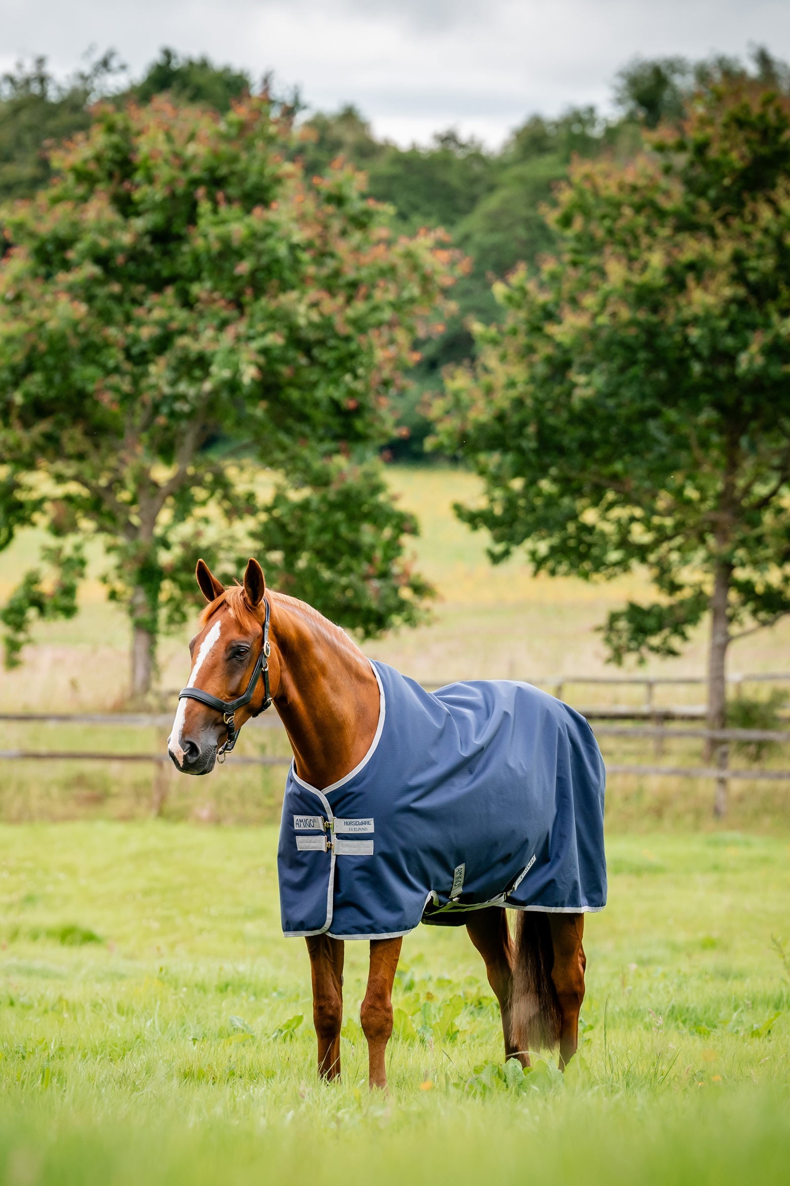 Horseware Amigo Outdoordecke Ripstop 900D, 100 g Pferdedecken