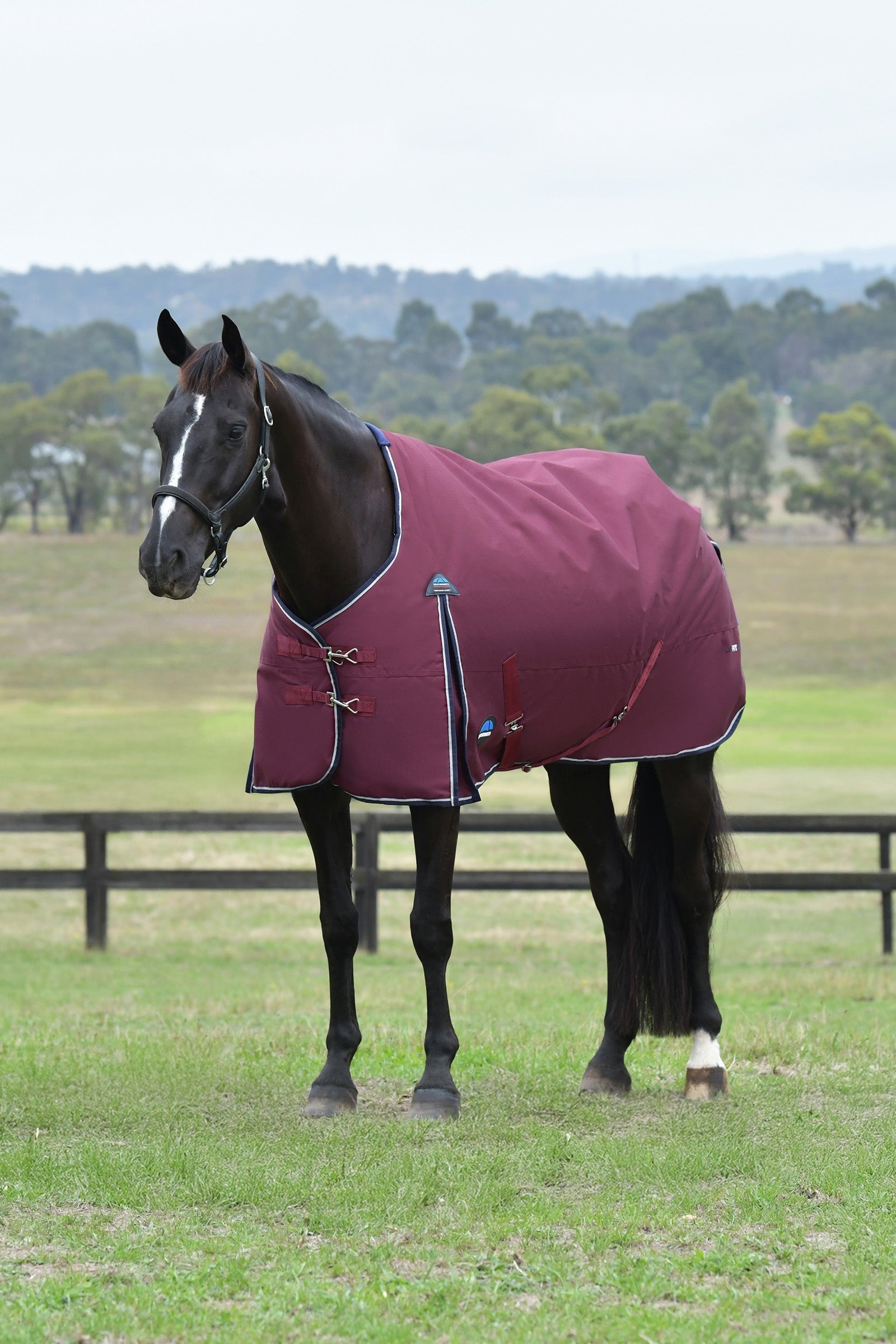 Weatherbeeta ComFiTec Essential Turnout Rug, 0 g Pferdedecken