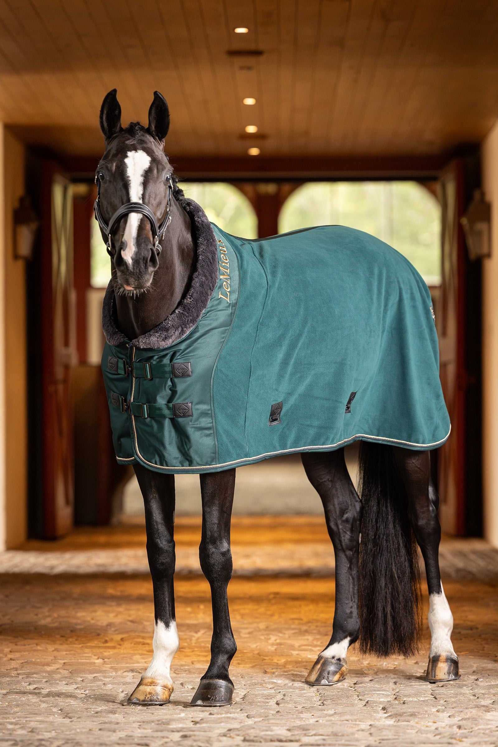 LeMieux Luxe Fleece Cooler Horse Rugs