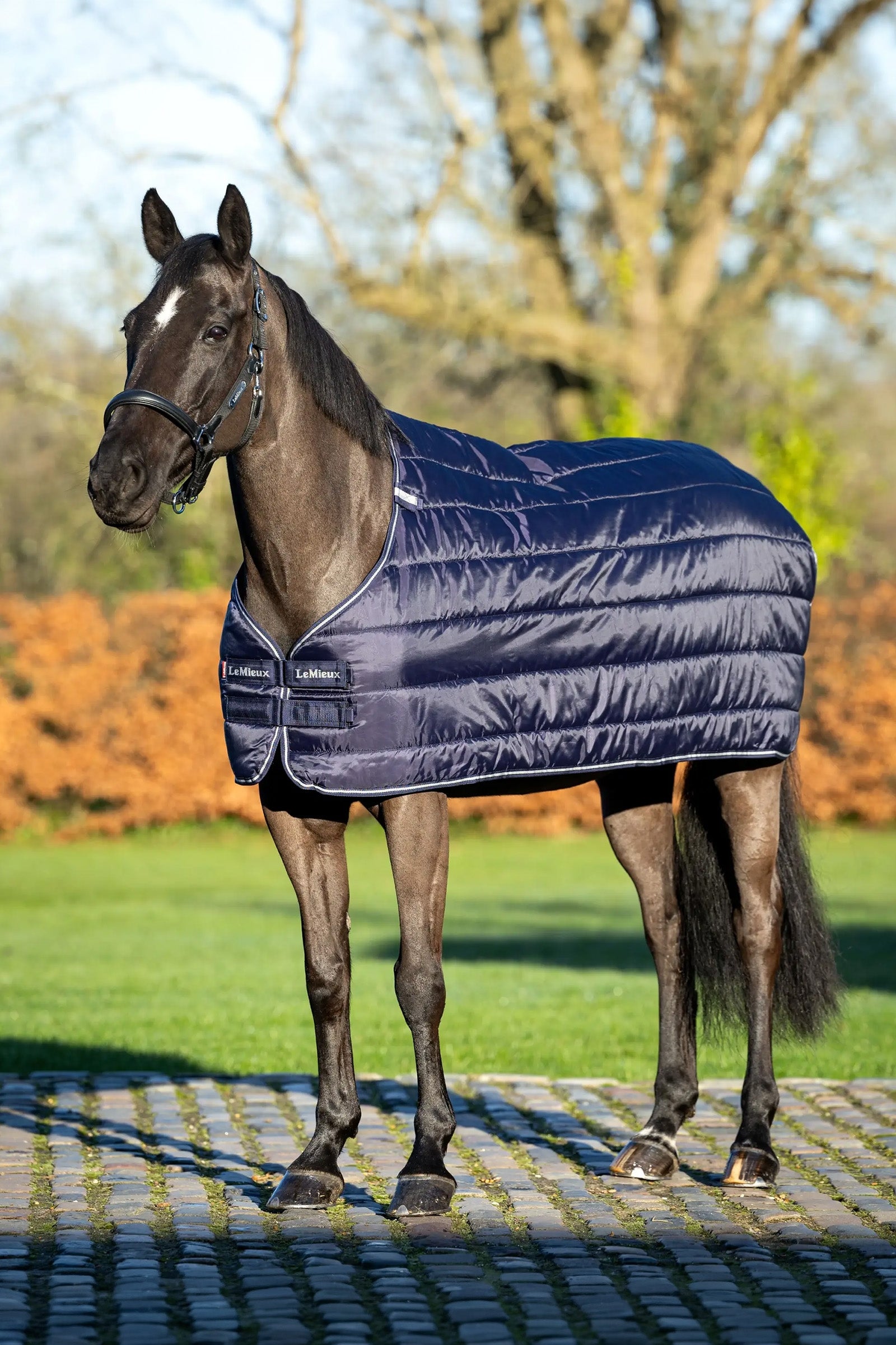 LeMieux Rug Liner, 50 g Horse Rugs