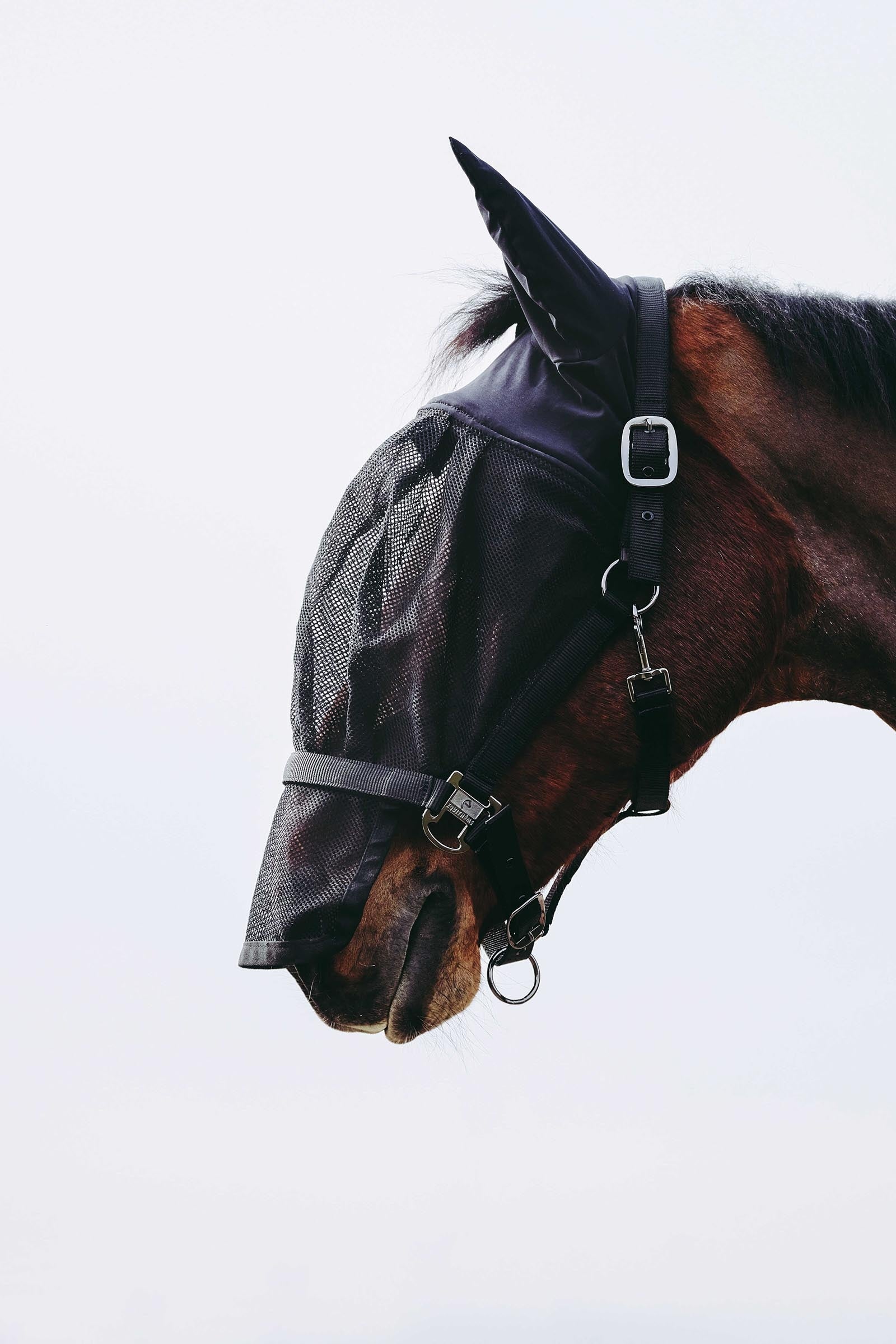 Equi Theme EQUITHÈME Halter + Mask Antifly Protection for Horses