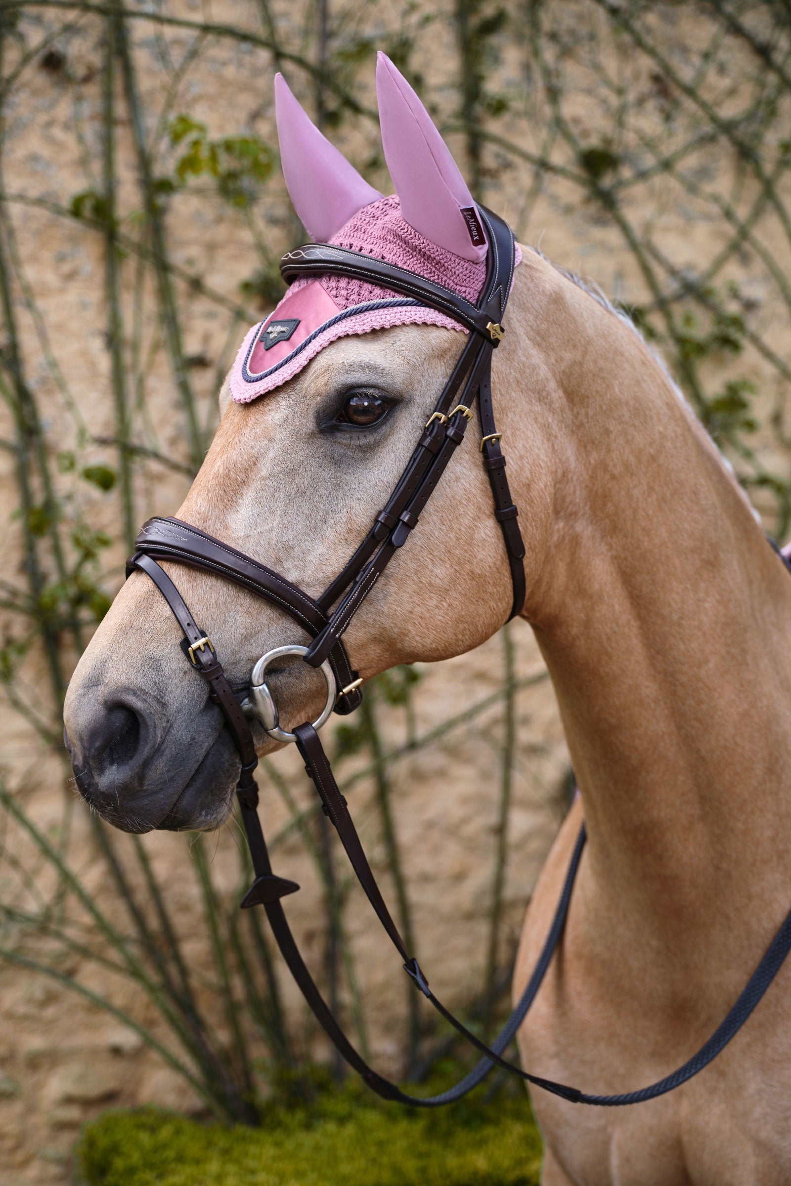 LeMieux Loire Fly Hood Saddle Pads