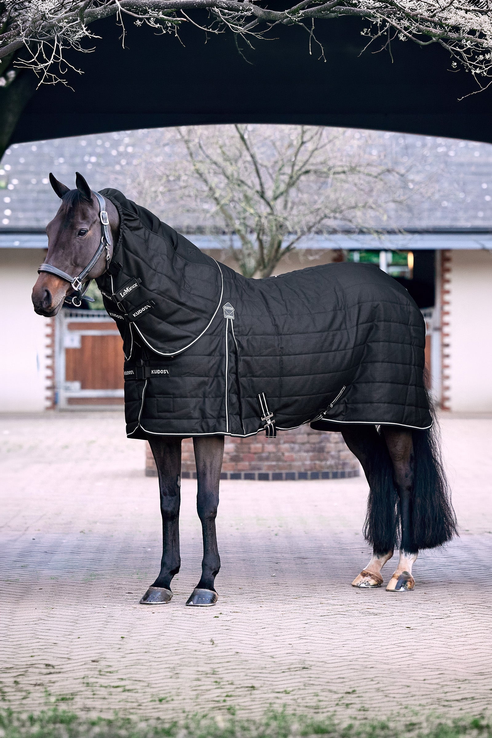 LeMieux Kudos ClimaCore Stable Rug With Neck, 100 g Horse Rugs