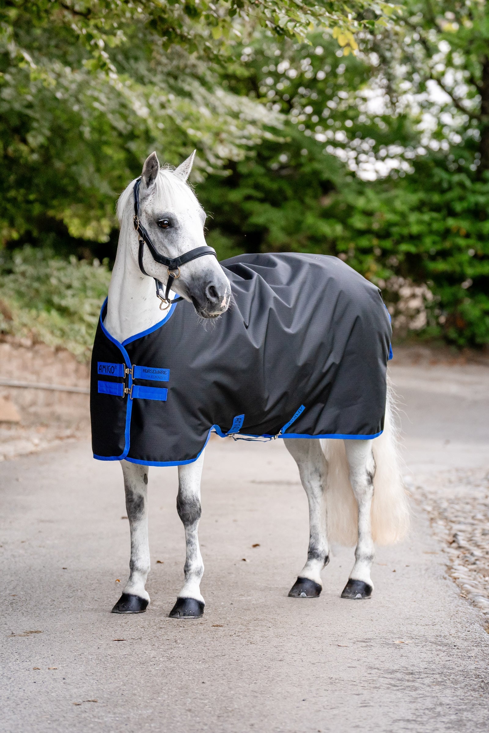 Horseware Amigo Outdoordecke Ripstop 900D, 200 g Pferdedecken