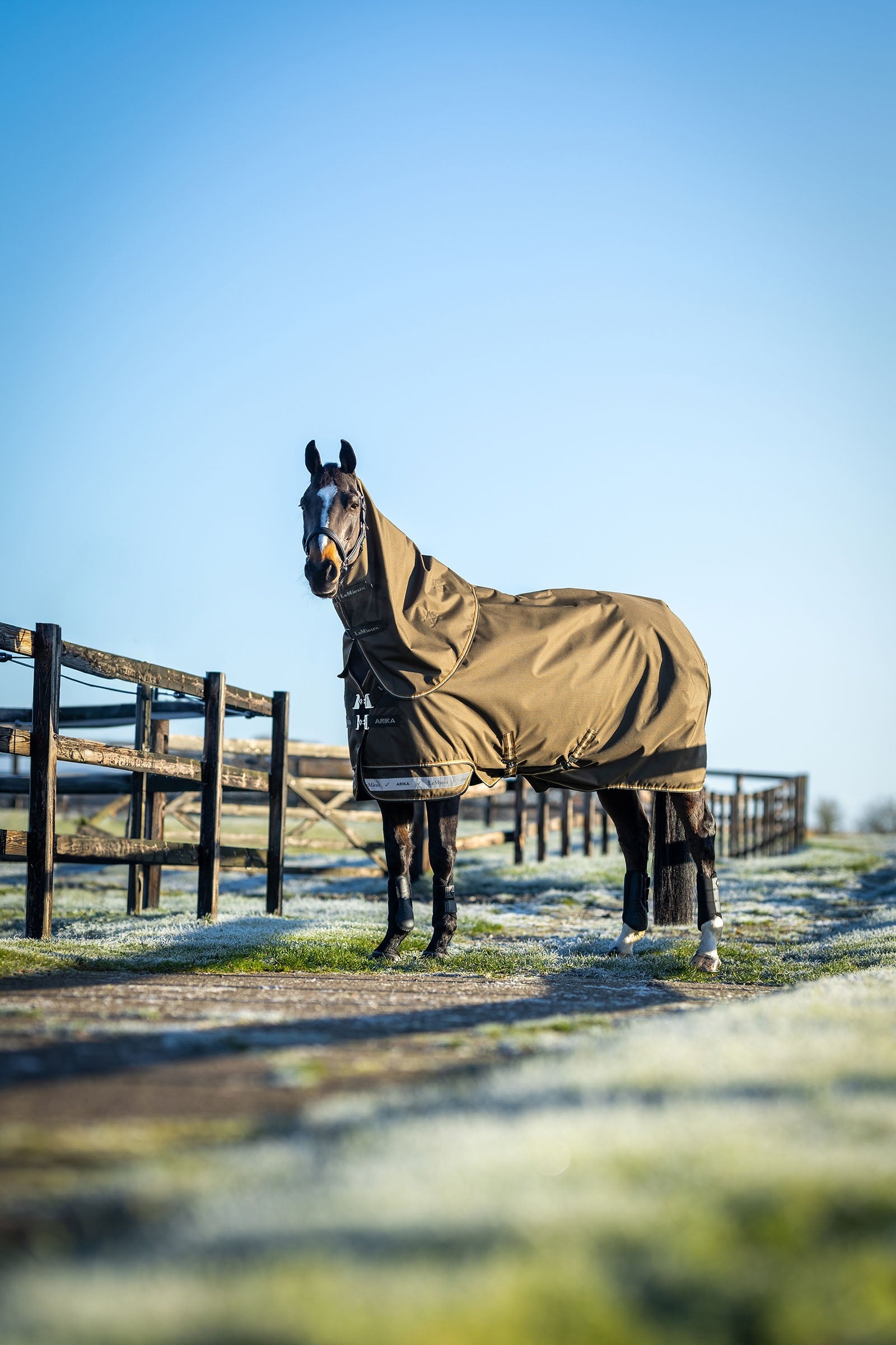 LeMieux Arika Ripstop Turnout Rug With Detachable Neck, 200 g Horse Rugs