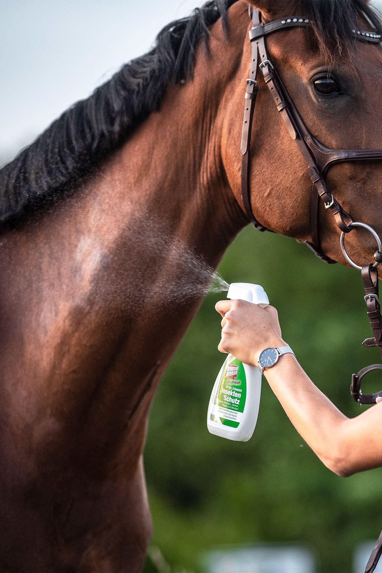 Bremsenbremse Insect Protection - Ultrafresh 375ml Antifly Protection for Horses