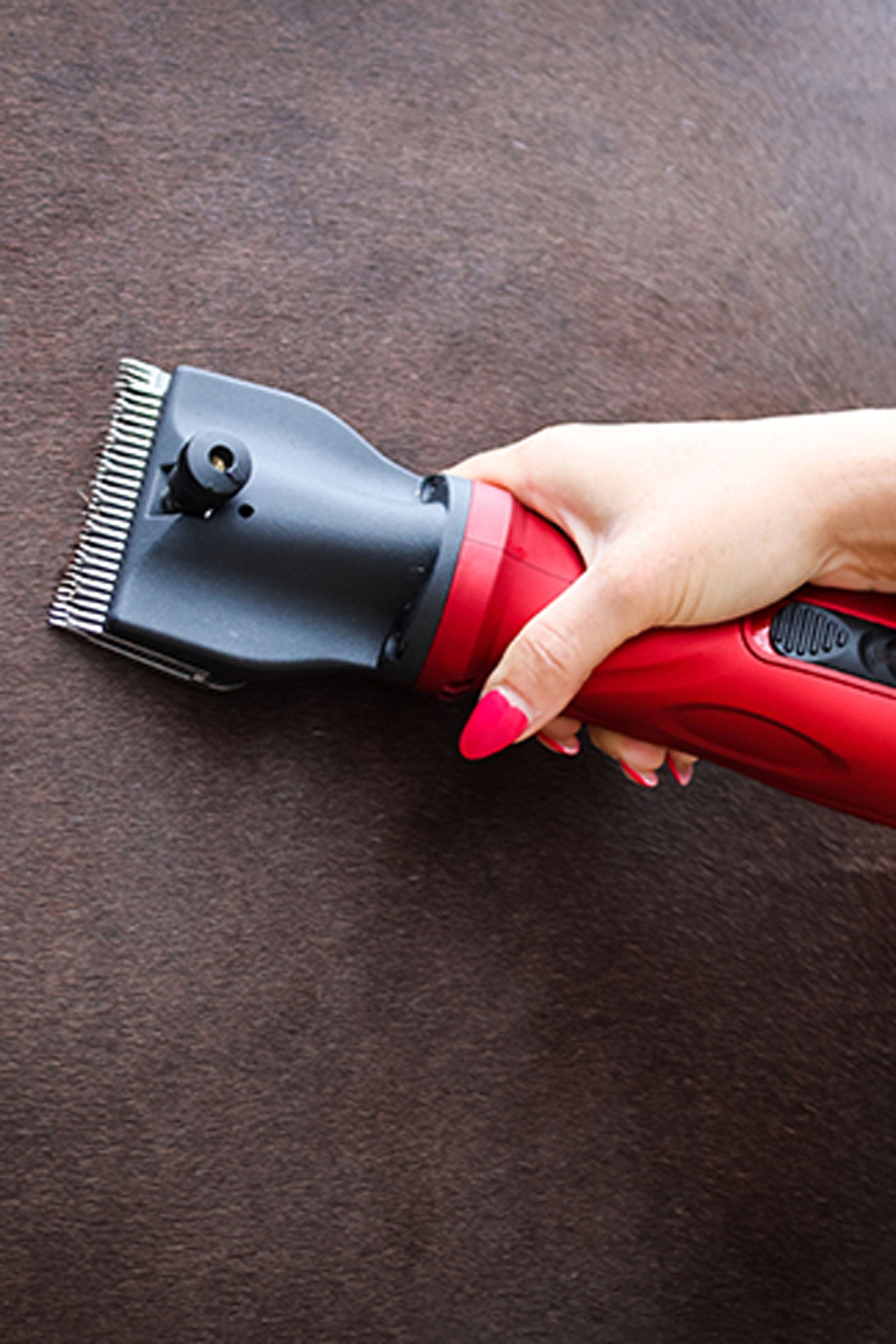 Liveryman Phoenix EU Clipper, 2.4 mm Horse Clipping & Trimming Tools