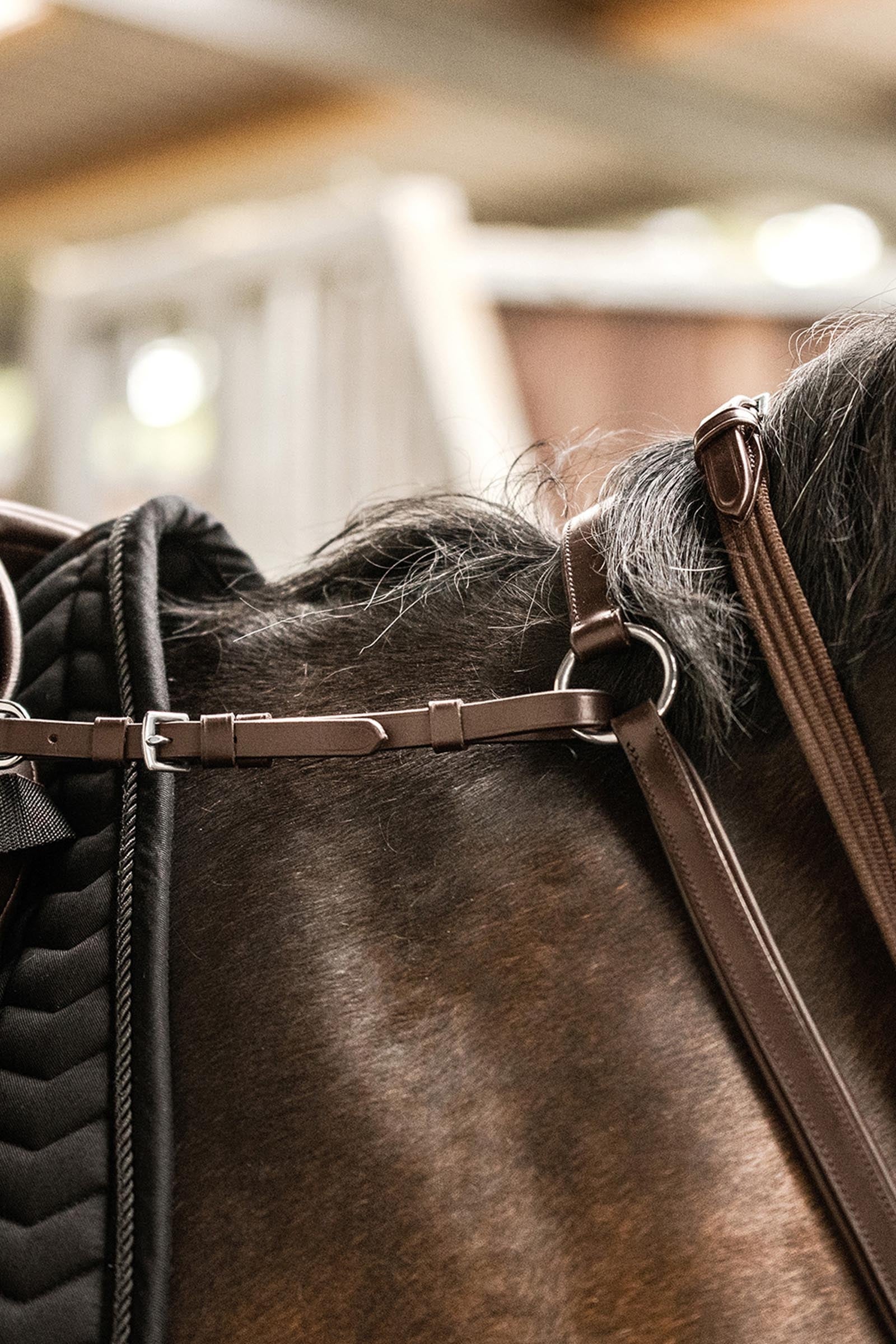 Waldhausen X-Line Professional Breastplate Bridles & Reins