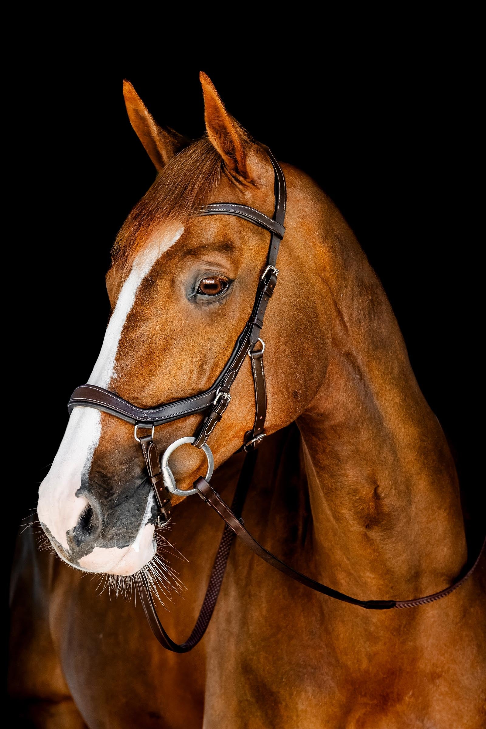 Horseware Rambo Micklem Competition Trensenzaum Trensenzäume & Zügel