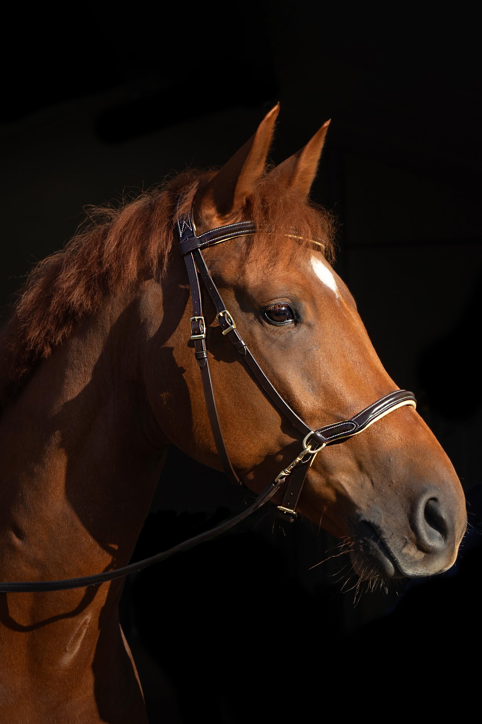 F.R.A. Freedom Riding Articles Sidepull Kiona with Reins Bridles & Reins