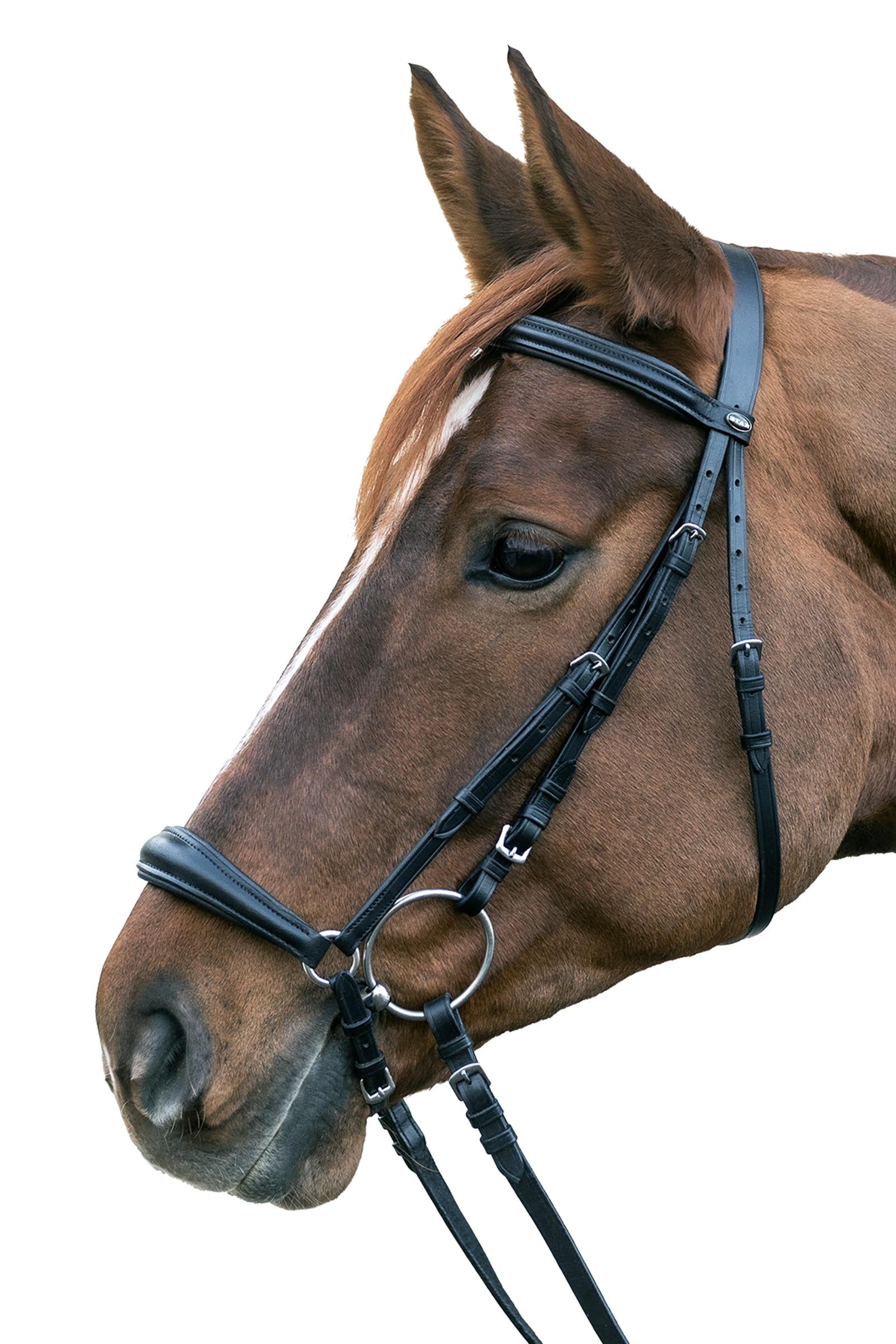 Star Bridle With Hannover Drop Noseband Bridles & Reins
